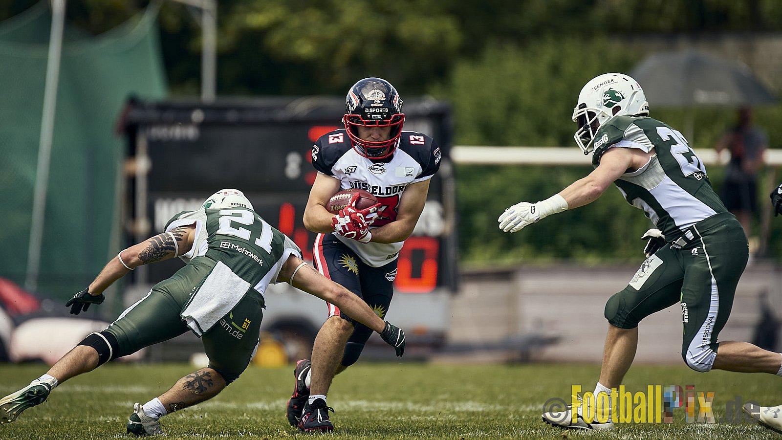 GFL2 Season 2024 Düsseldorf Panther vs. Bielefeld Bulldogs am 09.06.2024 im Bezirks Sportanlage Benrath, Nürnberger Straße, Benrath, Stadtbezirk 9, Dusseldorf, North Rhine – Westphalia, 40599, Germany. Punkte Endstand 30 : 0. - DPantherVsBielefeldBulldogs