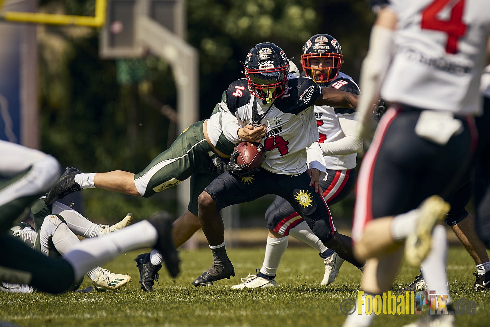 GFL2 Season 2024 Düsseldorf Panther vs. Bielefeld Bulldogs am 09.06.2024 im Bezirks Sportanlage Benrath, Nürnberger Straße, Benrath, Stadtbezirk 9, Dusseldorf, North Rhine – Westphalia, 40599, Germany. Punkte Endstand 30 : 0. - DPantherVsBielefeldBulldogs