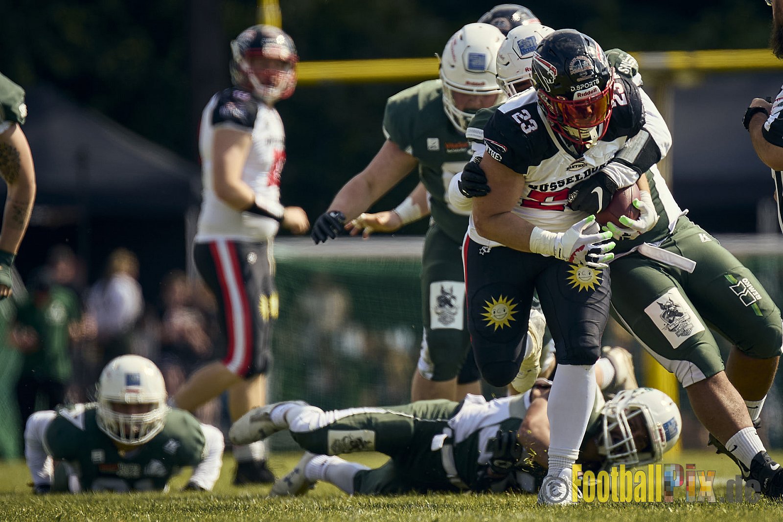 GFL2 Season 2024 Düsseldorf Panther vs. Bielefeld Bulldogs am 09.06.2024 im Bezirks Sportanlage Benrath, Nürnberger Straße, Benrath, Stadtbezirk 9, Dusseldorf, North Rhine – Westphalia, 40599, Germany. Punkte Endstand 30 : 0. - DPantherVsBielefeldBulldogs