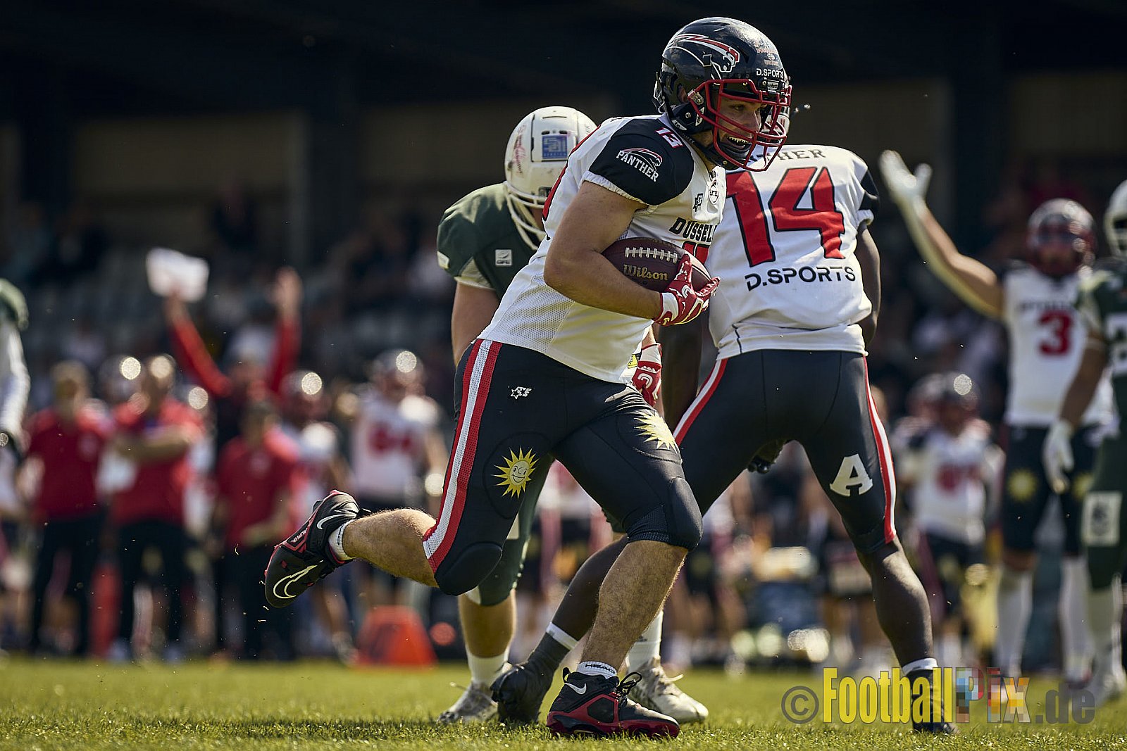 GFL2 Season 2024 Düsseldorf Panther vs. Bielefeld Bulldogs am 09.06.2024 im Bezirks Sportanlage Benrath, Nürnberger Straße, Benrath, Stadtbezirk 9, Dusseldorf, North Rhine – Westphalia, 40599, Germany. Punkte Endstand 30 : 0. - DPantherVsBielefeldBulldogs