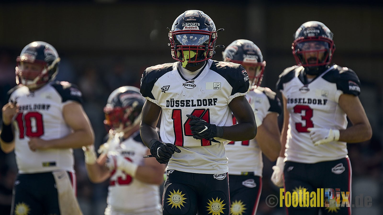 GFL2 Season 2024 Düsseldorf Panther vs. Bielefeld Bulldogs am 09.06.2024 im Bezirks Sportanlage Benrath, Nürnberger Straße, Benrath, Stadtbezirk 9, Dusseldorf, North Rhine – Westphalia, 40599, Germany. Punkte Endstand 30 : 0. - DPantherVsBielefeldBulldogs