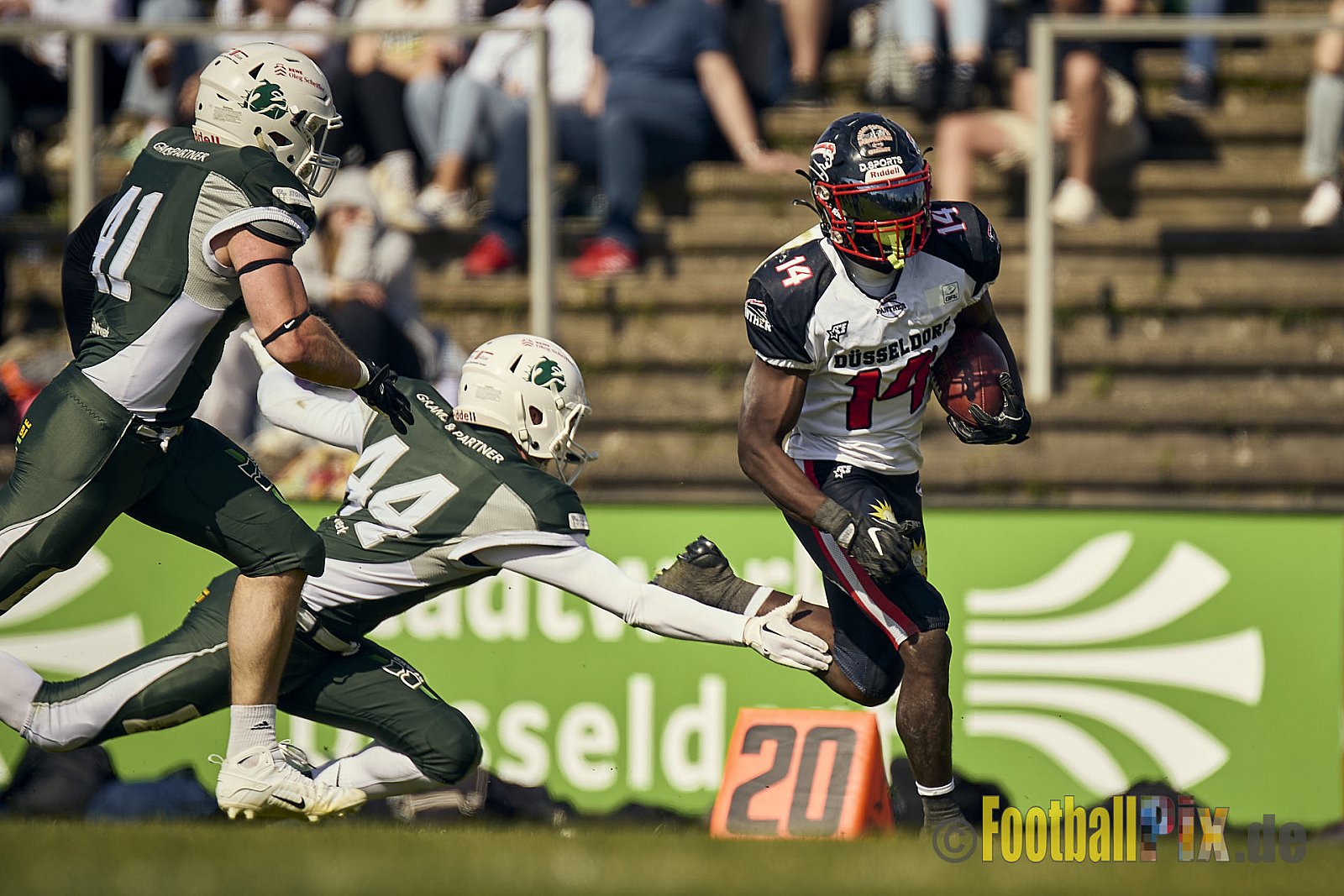 GFL2 Season 2024 Düsseldorf Panther vs. Bielefeld Bulldogs am 09.06.2024 im Bezirks Sportanlage Benrath, Nürnberger Straße, Benrath, Stadtbezirk 9, Dusseldorf, North Rhine – Westphalia, 40599, Germany. Punkte Endstand 30 : 0. - DPantherVsBielefeldBulldogs