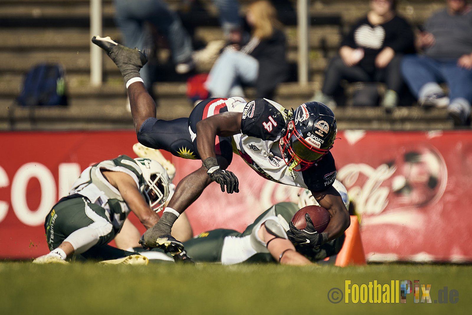 GFL2 Season 2024 Düsseldorf Panther vs. Bielefeld Bulldogs am 09.06.2024 im Bezirks Sportanlage Benrath, Nürnberger Straße, Benrath, Stadtbezirk 9, Dusseldorf, North Rhine – Westphalia, 40599, Germany. Punkte Endstand 30 : 0. - DPantherVsBielefeldBulldogs