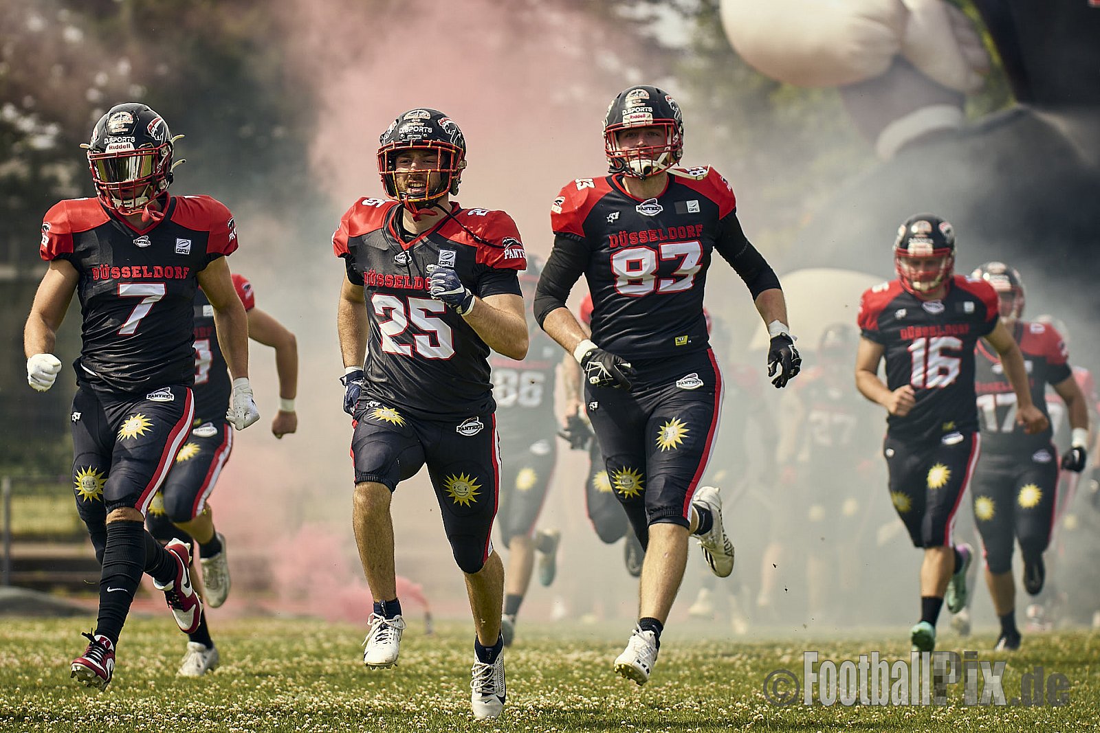 GFL2 Season 2024 Düsseldorf Panther vs. Cottbus Crayfish am 29.06.2024 im Bezirks Sportanlage Benrath, Nürnberger Straße, Benrath, Stadtbezirk 9, Dusseldorf, North Rhine-Westphalia, 40599, Germany. Punkte Endstand 64 : 0. - DPantherVsCottbusCrayfish