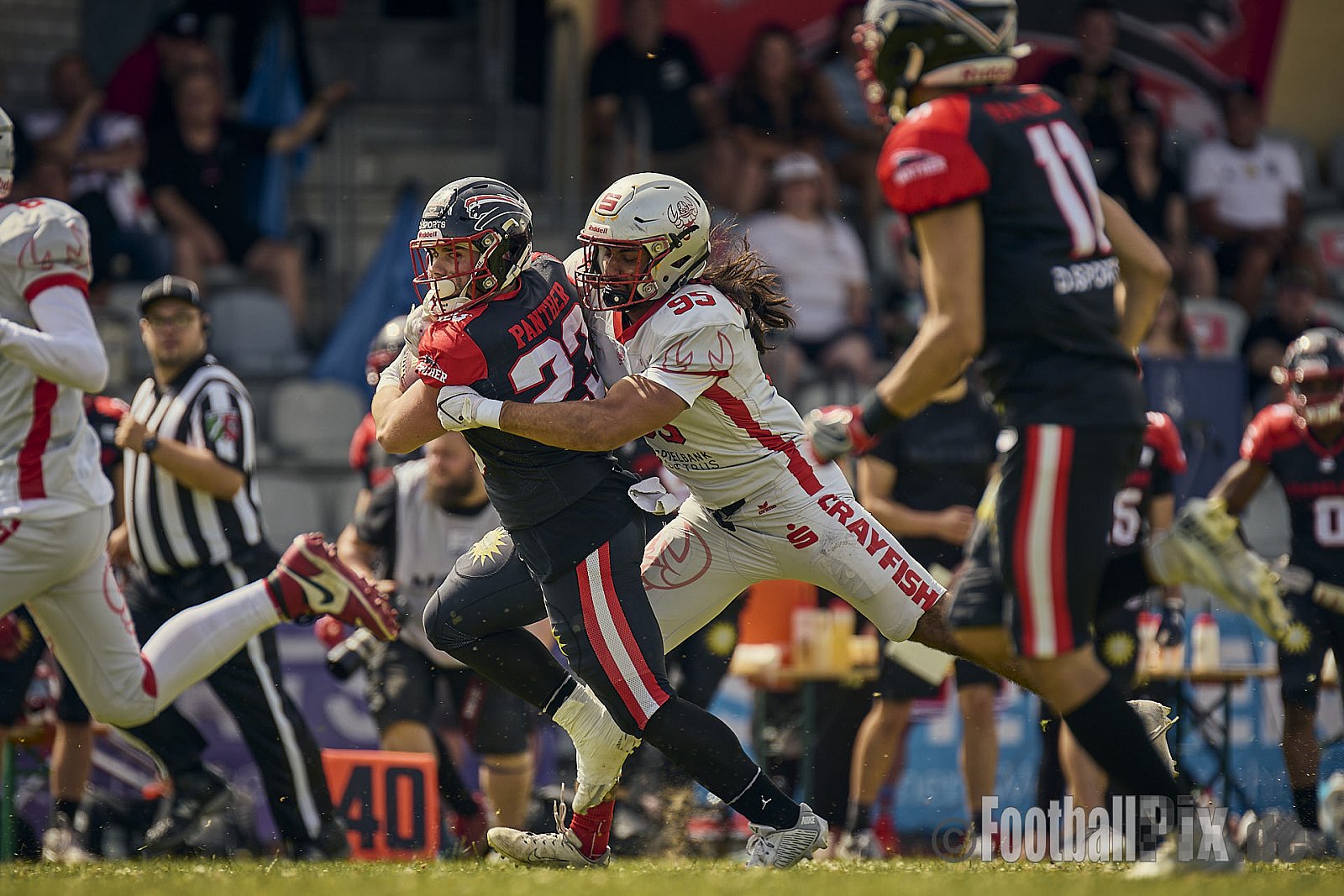 GFL2 Season 2024 Düsseldorf Panther vs. Cottbus Crayfish am 29.06.2024 im Bezirks Sportanlage Benrath, Nürnberger Straße, Benrath, Stadtbezirk 9, Dusseldorf, North Rhine-Westphalia, 40599, Germany. Punkte Endstand 64 : 0. - DPantherVsCottbusCrayfish