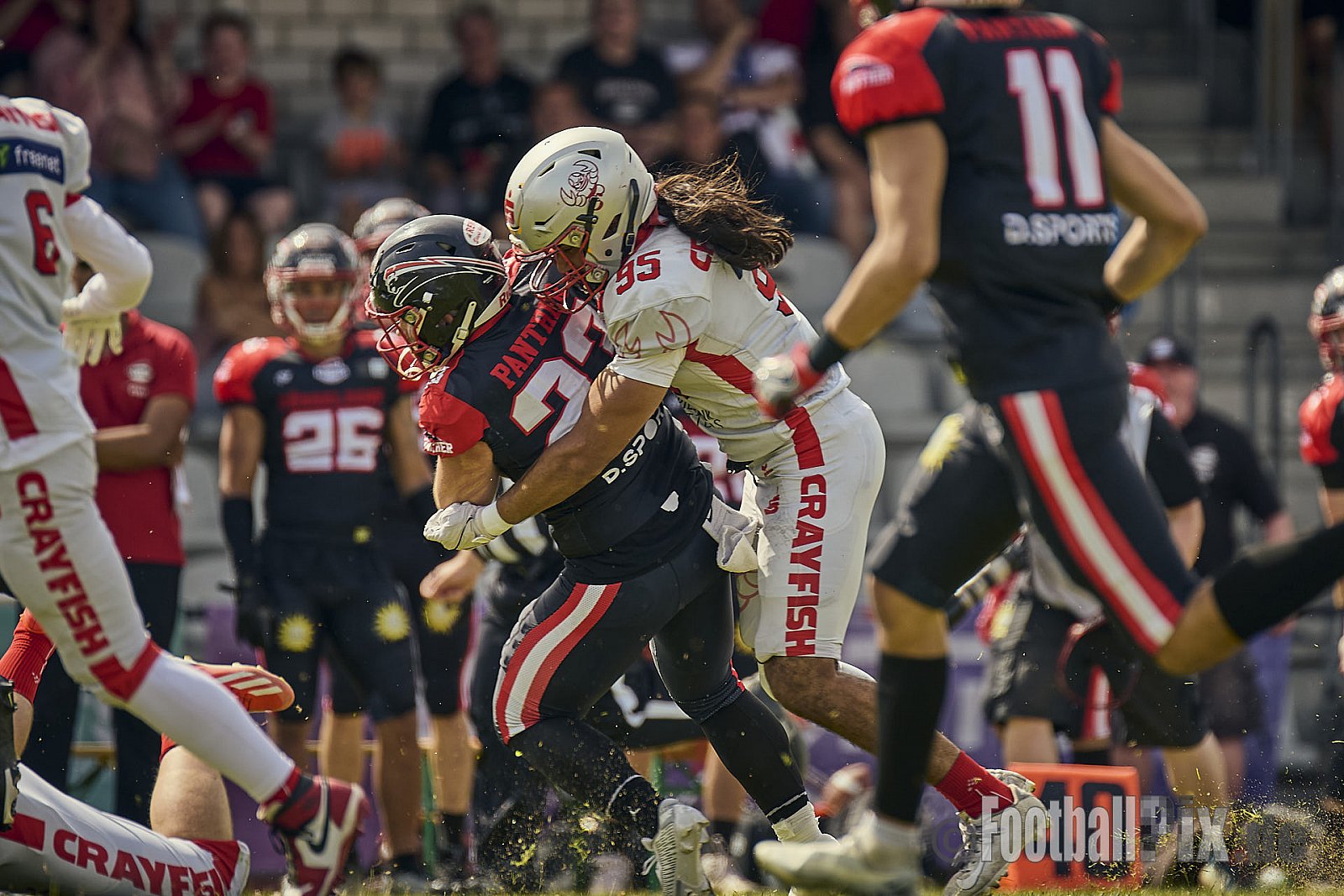 GFL2 Season 2024 Düsseldorf Panther vs. Cottbus Crayfish am 29.06.2024 im Bezirks Sportanlage Benrath, Nürnberger Straße, Benrath, Stadtbezirk 9, Dusseldorf, North Rhine-Westphalia, 40599, Germany. Punkte Endstand 64 : 0. - DPantherVsCottbusCrayfish