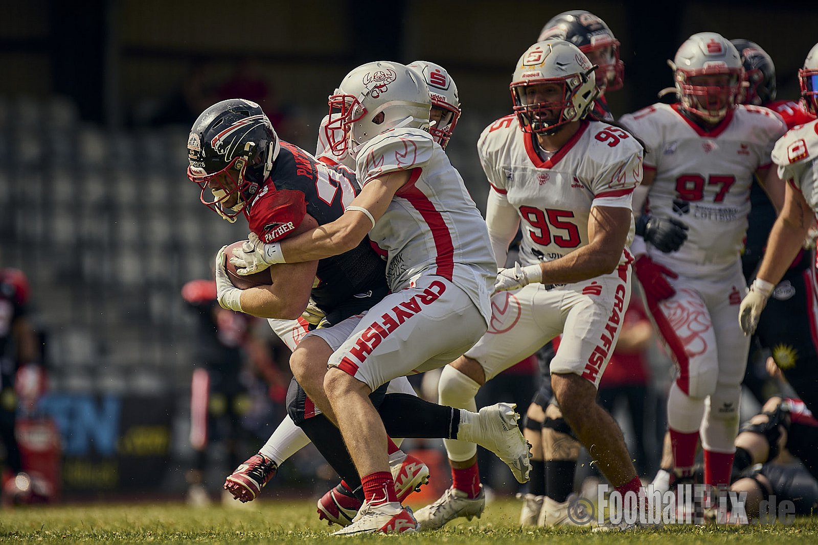 GFL2 Season 2024 Düsseldorf Panther vs. Cottbus Crayfish am 29.06.2024 im Bezirks Sportanlage Benrath, Nürnberger Straße, Benrath, Stadtbezirk 9, Dusseldorf, North Rhine-Westphalia, 40599, Germany. Punkte Endstand 64 : 0. - DPantherVsCottbusCrayfish