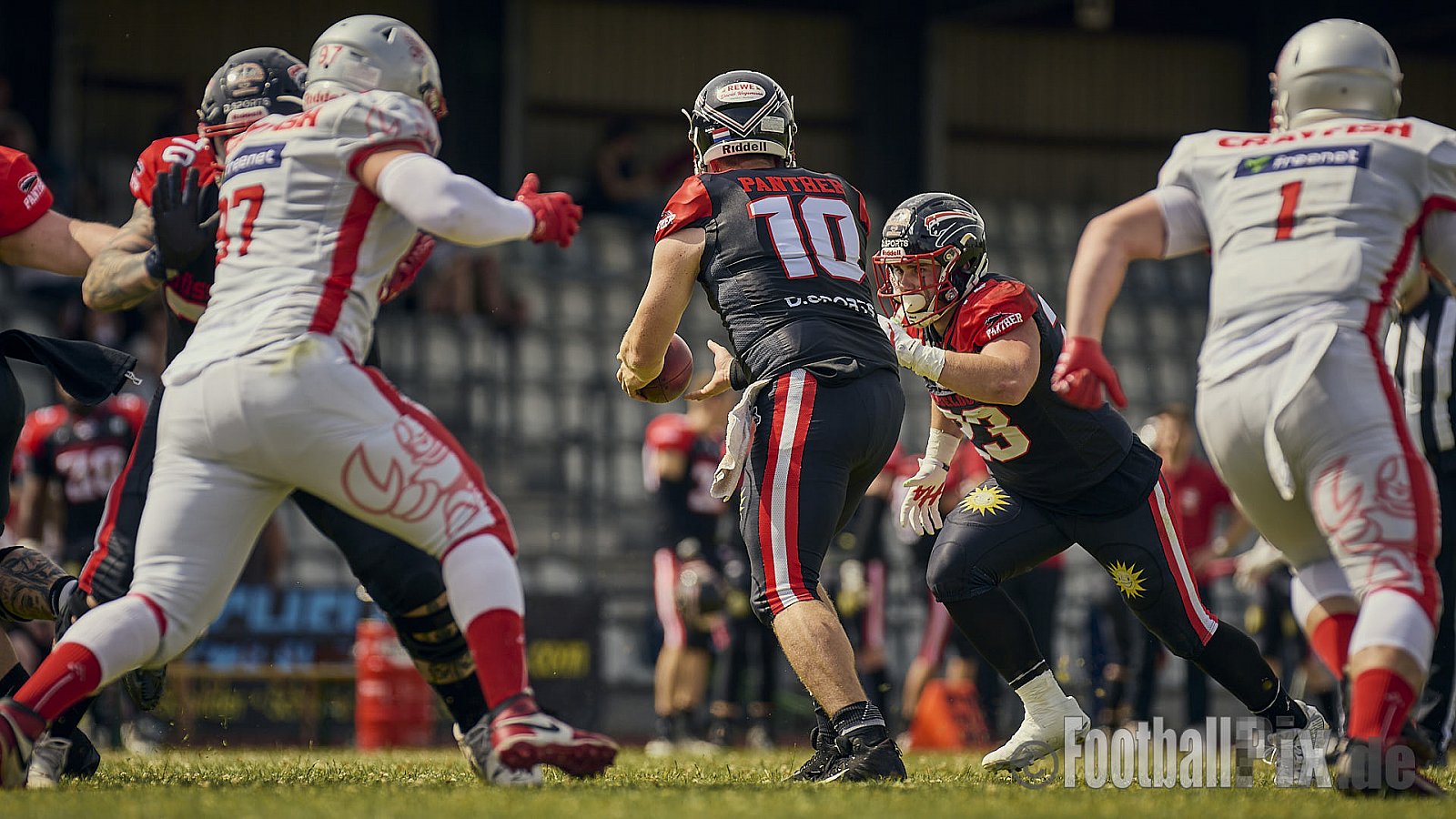 GFL2 Season 2024 Düsseldorf Panther vs. Cottbus Crayfish am 29.06.2024 im Bezirks Sportanlage Benrath, Nürnberger Straße, Benrath, Stadtbezirk 9, Dusseldorf, North Rhine-Westphalia, 40599, Germany. Punkte Endstand 64 : 0. - DPantherVsCottbusCrayfish