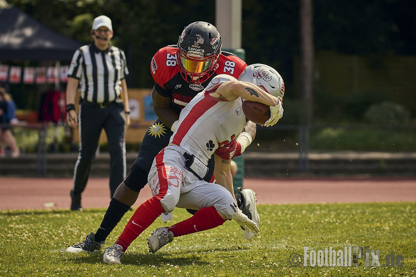 GFL2 Season 2024 Düsseldorf Panther vs. Cottbus Crayfish am 29.06.2024 im Bezirks Sportanlage Benrath, Nürnberger Straße, Benrath, Stadtbezirk 9, Dusseldorf, North Rhine-Westphalia, 40599, Germany. Punkte Endstand 64 : 0. - DPantherVsCottbusCrayfish