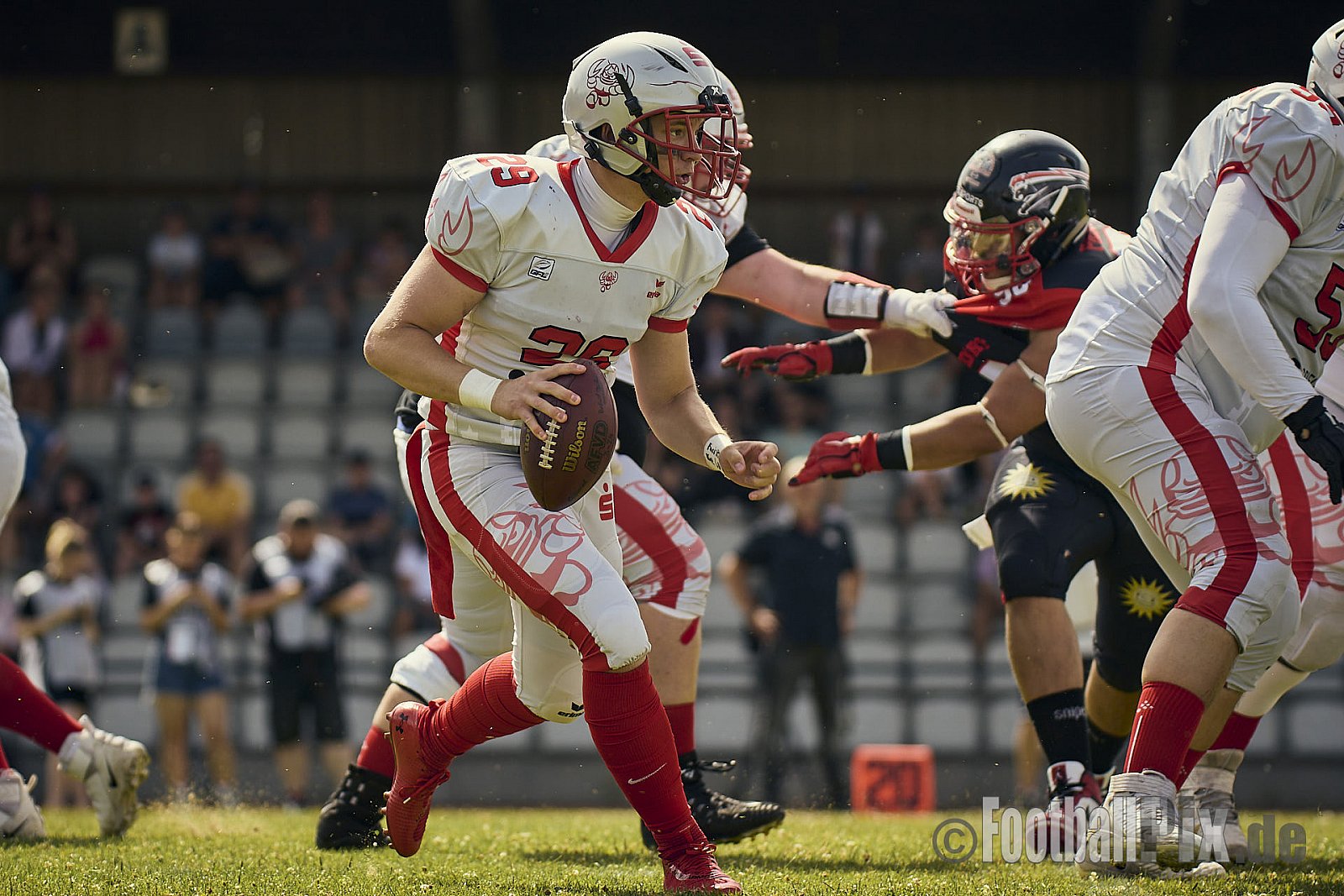 GFL2 Season 2024 Düsseldorf Panther vs. Cottbus Crayfish am 29.06.2024 im Bezirks Sportanlage Benrath, Nürnberger Straße, Benrath, Stadtbezirk 9, Dusseldorf, North Rhine-Westphalia, 40599, Germany. Punkte Endstand 64 : 0. - DPantherVsCottbusCrayfish