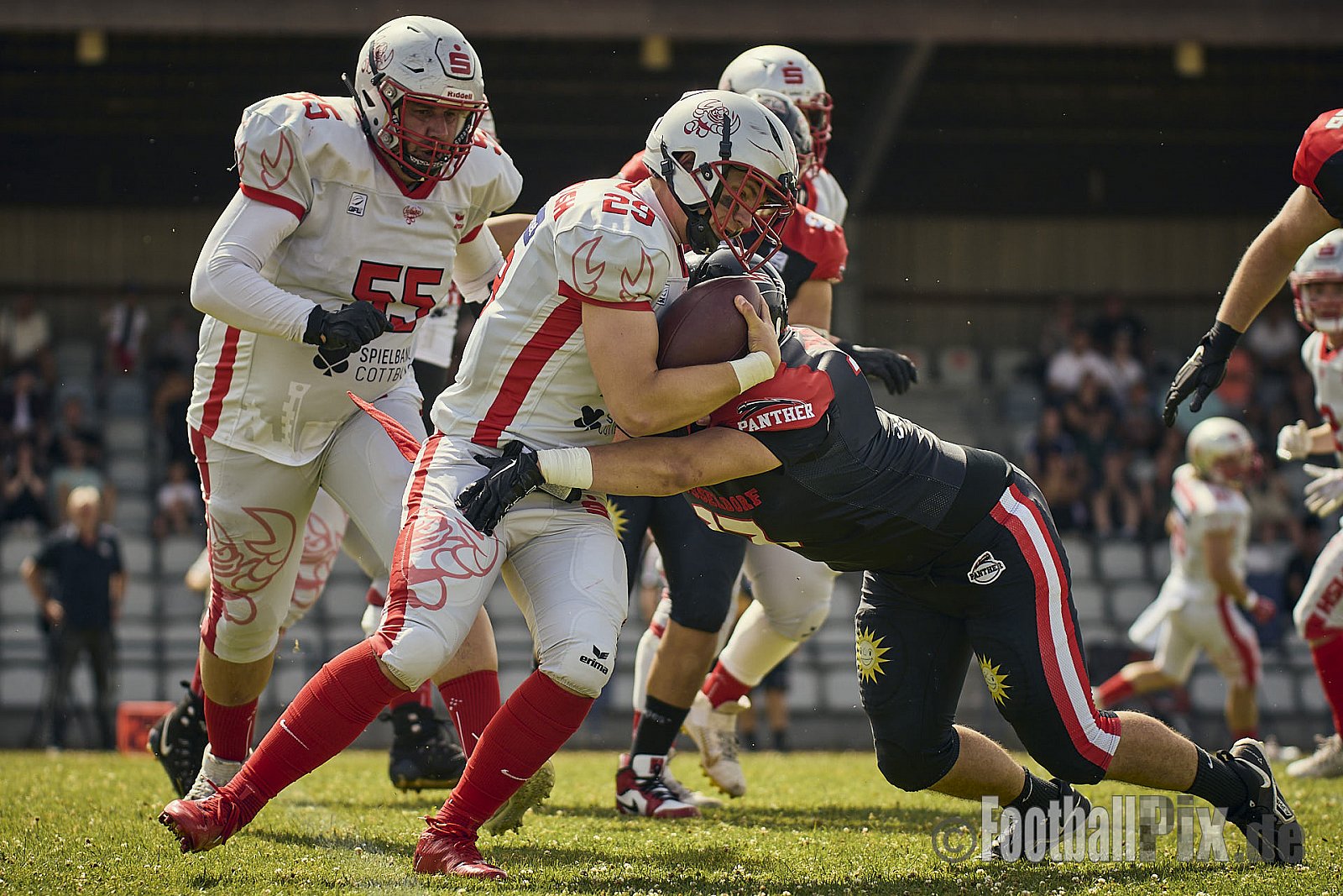 GFL2 Season 2024 Düsseldorf Panther vs. Cottbus Crayfish am 29.06.2024 im Bezirks Sportanlage Benrath, Nürnberger Straße, Benrath, Stadtbezirk 9, Dusseldorf, North Rhine-Westphalia, 40599, Germany. Punkte Endstand 64 : 0. - DPantherVsCottbusCrayfish