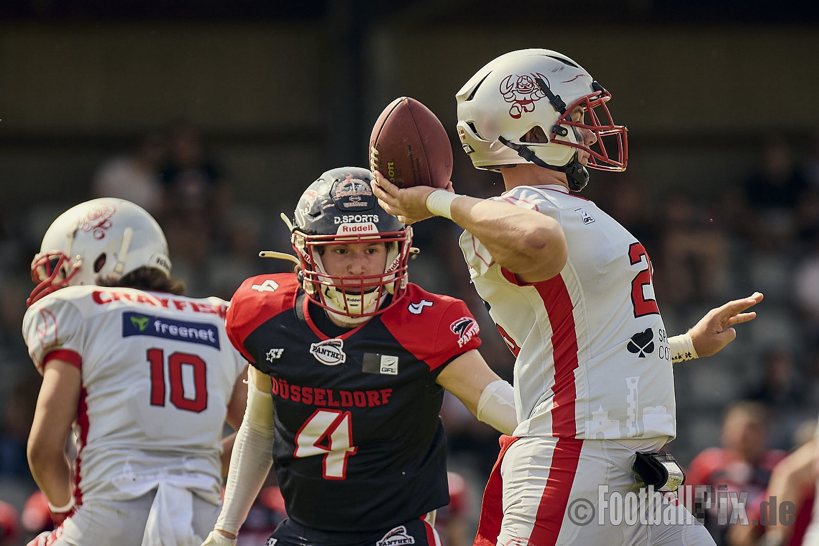 GFL2 Season 2024 Düsseldorf Panther vs. Cottbus Crayfish am 29.06.2024 im Bezirks Sportanlage Benrath, Nürnberger Straße, Benrath, Stadtbezirk 9, Dusseldorf, North Rhine-Westphalia, 40599, Germany. Punkte Endstand 64 : 0. - DPantherVsCottbusCrayfish