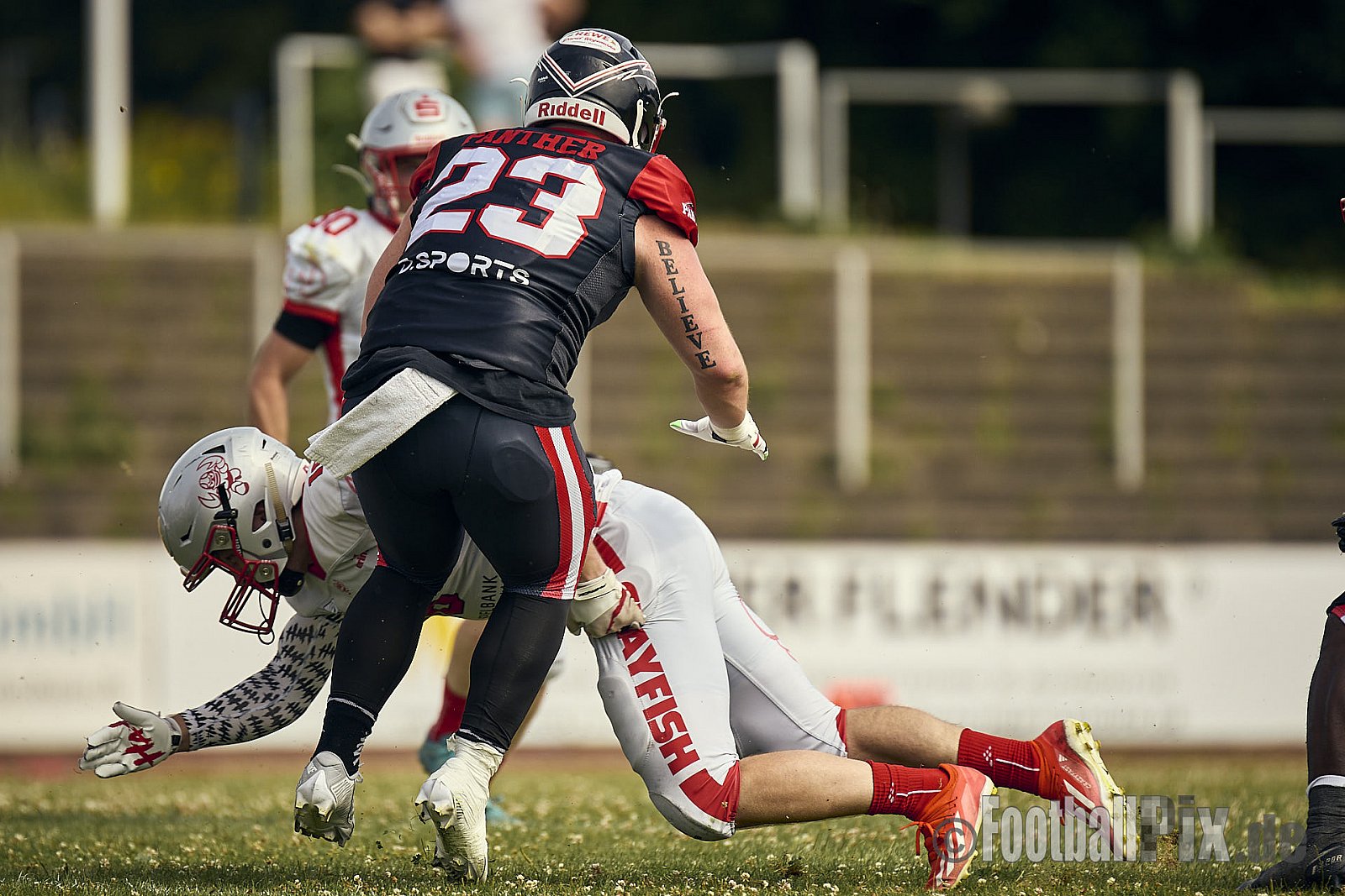 GFL2 Season 2024 Düsseldorf Panther vs. Cottbus Crayfish am 29.06.2024 im Bezirks Sportanlage Benrath, Nürnberger Straße, Benrath, Stadtbezirk 9, Dusseldorf, North Rhine-Westphalia, 40599, Germany. Punkte Endstand 64 : 0. - DPantherVsCottbusCrayfish