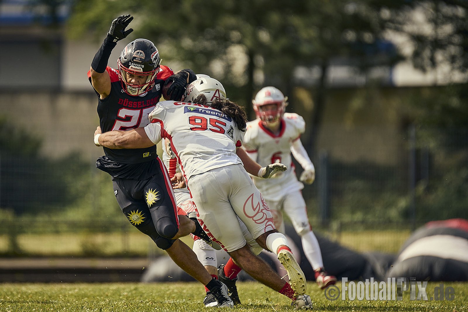 GFL2 Season 2024 Düsseldorf Panther vs. Cottbus Crayfish am 29.06.2024 im Bezirks Sportanlage Benrath, Nürnberger Straße, Benrath, Stadtbezirk 9, Dusseldorf, North Rhine-Westphalia, 40599, Germany. Punkte Endstand 64 : 0. - DPantherVsCottbusCrayfish