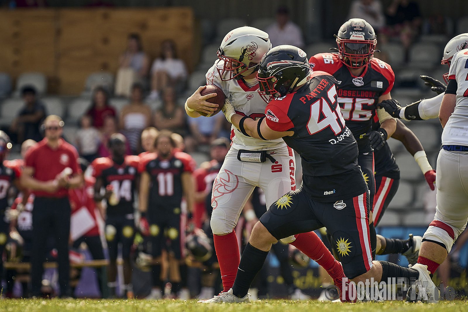 GFL2 Season 2024 Düsseldorf Panther vs. Cottbus Crayfish am 29.06.2024 im Bezirks Sportanlage Benrath, Nürnberger Straße, Benrath, Stadtbezirk 9, Dusseldorf, North Rhine-Westphalia, 40599, Germany. Punkte Endstand 64 : 0. - DPantherVsCottbusCrayfish