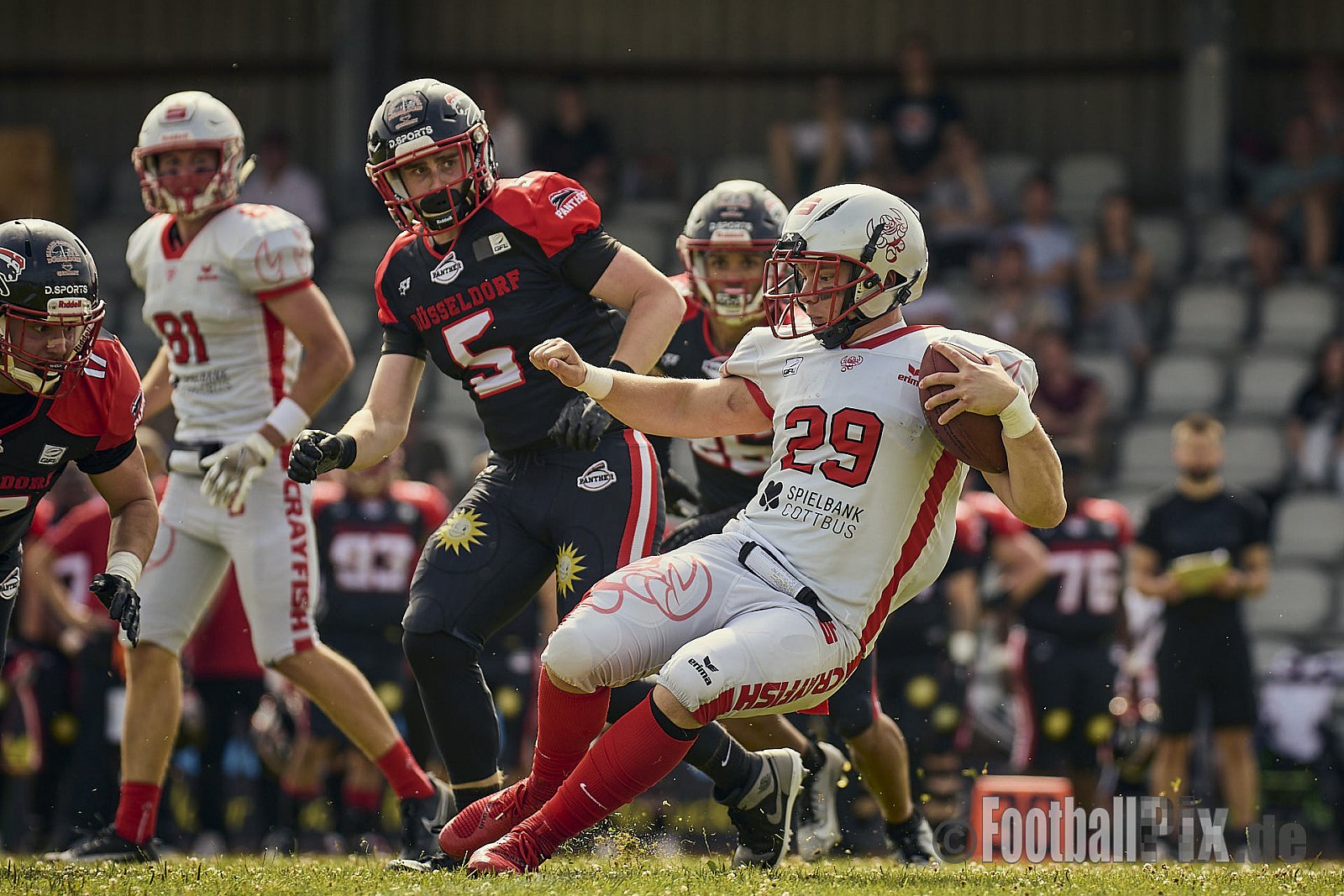 GFL2 Season 2024 Düsseldorf Panther vs. Cottbus Crayfish am 29.06.2024 im Bezirks Sportanlage Benrath, Nürnberger Straße, Benrath, Stadtbezirk 9, Dusseldorf, North Rhine-Westphalia, 40599, Germany. Punkte Endstand 64 : 0. - DPantherVsCottbusCrayfish