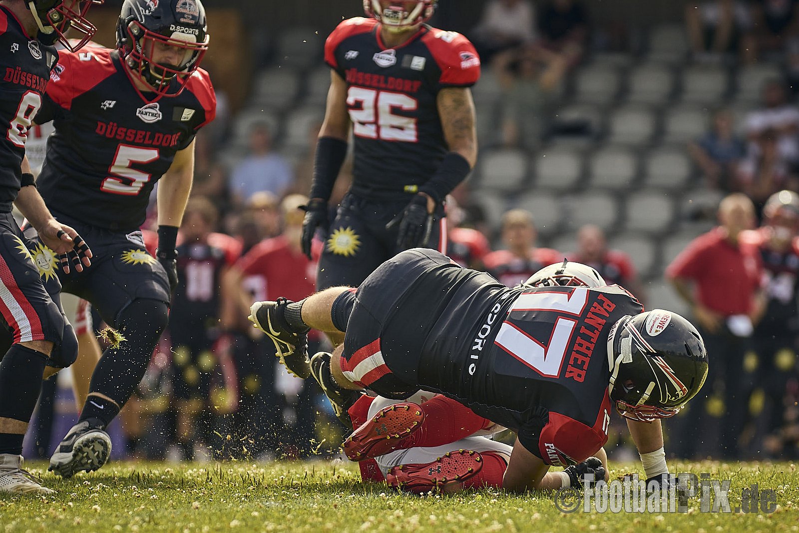 GFL2 Season 2024 Düsseldorf Panther vs. Cottbus Crayfish am 29.06.2024 im Bezirks Sportanlage Benrath, Nürnberger Straße, Benrath, Stadtbezirk 9, Dusseldorf, North Rhine-Westphalia, 40599, Germany. Punkte Endstand 64 : 0. - DPantherVsCottbusCrayfish