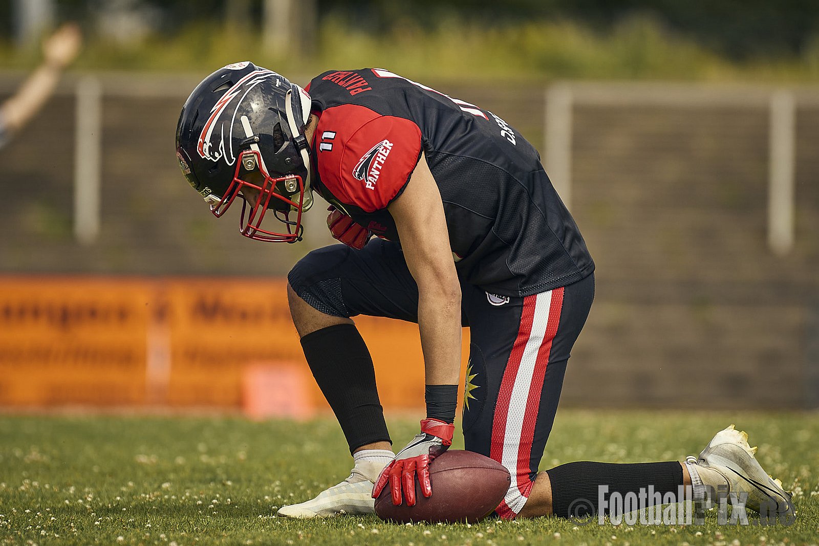 GFL2 Season 2024 Düsseldorf Panther vs. Cottbus Crayfish am 29.06.2024 im Bezirks Sportanlage Benrath, Nürnberger Straße, Benrath, Stadtbezirk 9, Dusseldorf, North Rhine-Westphalia, 40599, Germany. Punkte Endstand 64 : 0. - DPantherVsCottbusCrayfish