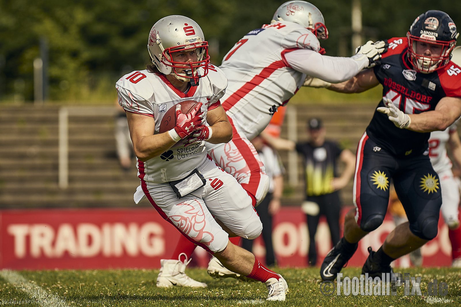 GFL2 Season 2024 Düsseldorf Panther vs. Cottbus Crayfish am 29.06.2024 im Bezirks Sportanlage Benrath, Nürnberger Straße, Benrath, Stadtbezirk 9, Dusseldorf, North Rhine-Westphalia, 40599, Germany. Punkte Endstand 64 : 0. - DPantherVsCottbusCrayfish