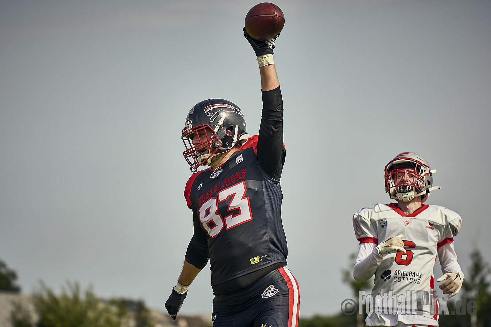 GFL2 Season 2024 Düsseldorf Panther vs. Cottbus Crayfish am 29.06.2024 im Bezirks Sportanlage Benrath, Nürnberger Straße, Benrath, Stadtbezirk 9, Dusseldorf, North Rhine-Westphalia, 40599, Germany. Punkte Endstand 64 : 0. - DPantherVsCottbusCrayfish
