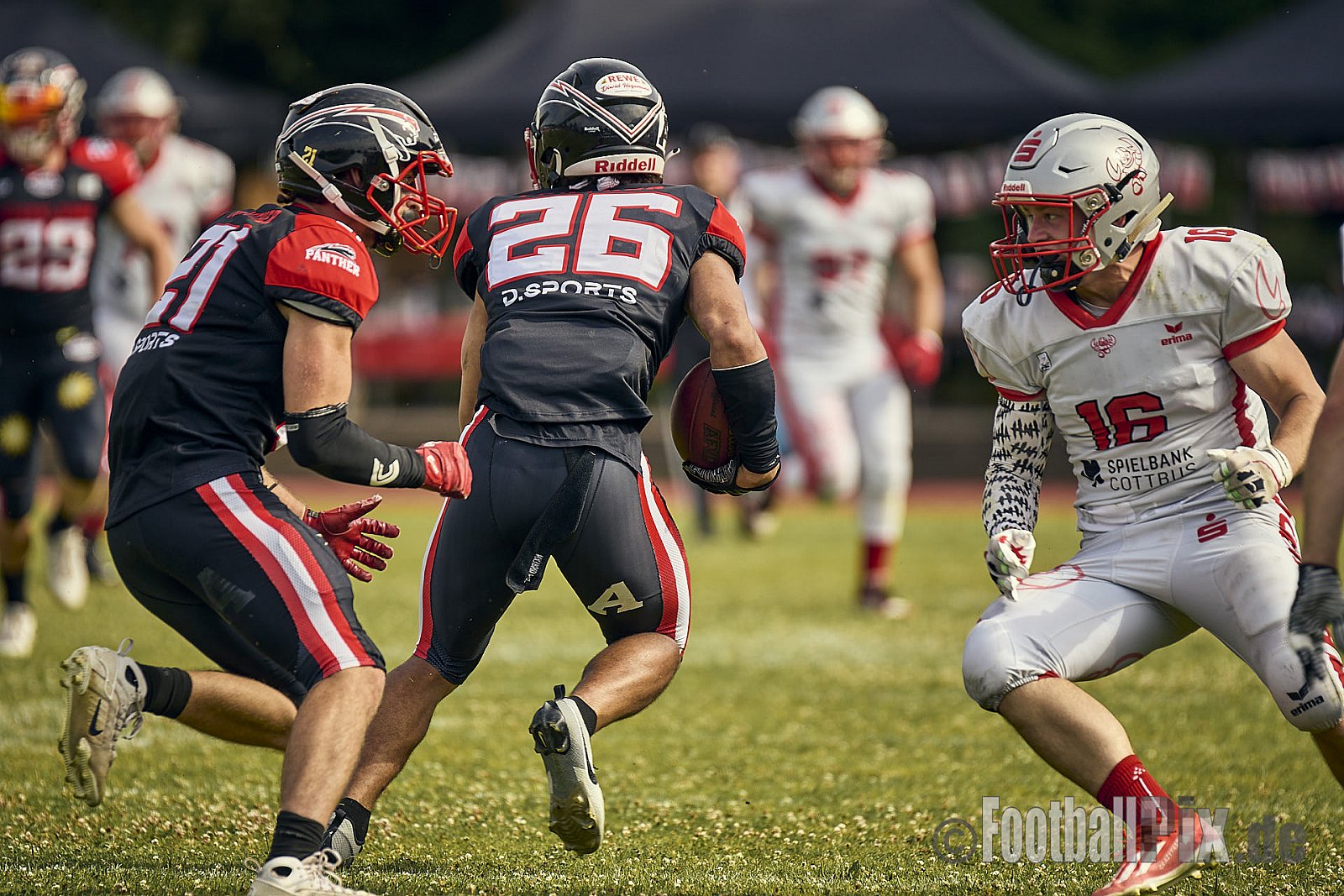 GFL2 Season 2024 Düsseldorf Panther vs. Cottbus Crayfish am 29.06.2024 im Bezirks Sportanlage Benrath, Nürnberger Straße, Benrath, Stadtbezirk 9, Dusseldorf, North Rhine-Westphalia, 40599, Germany. Punkte Endstand 64 : 0. - DPantherVsCottbusCrayfish