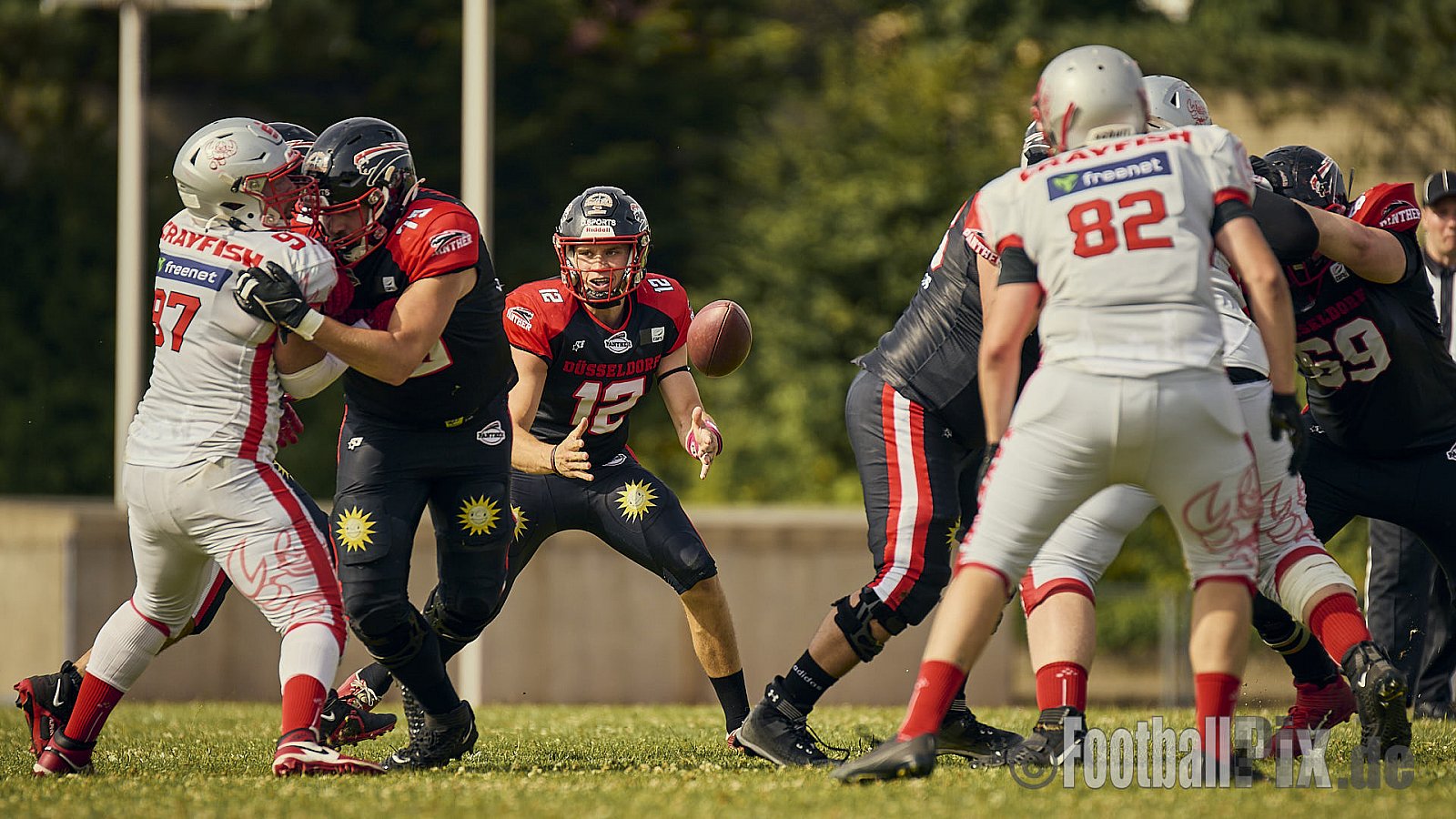 GFL2 Season 2024 Düsseldorf Panther vs. Cottbus Crayfish am 29.06.2024 im Bezirks Sportanlage Benrath, Nürnberger Straße, Benrath, Stadtbezirk 9, Dusseldorf, North Rhine-Westphalia, 40599, Germany. Punkte Endstand 64 : 0. - DPantherVsCottbusCrayfish