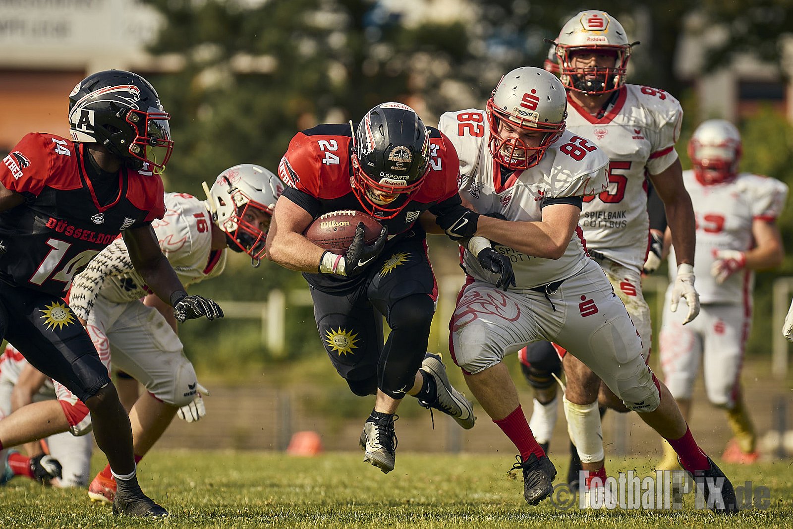 GFL2 Season 2024 Düsseldorf Panther vs. Cottbus Crayfish am 29.06.2024 im Bezirks Sportanlage Benrath, Nürnberger Straße, Benrath, Stadtbezirk 9, Dusseldorf, North Rhine-Westphalia, 40599, Germany. Punkte Endstand 64 : 0. - DPantherVsCottbusCrayfish