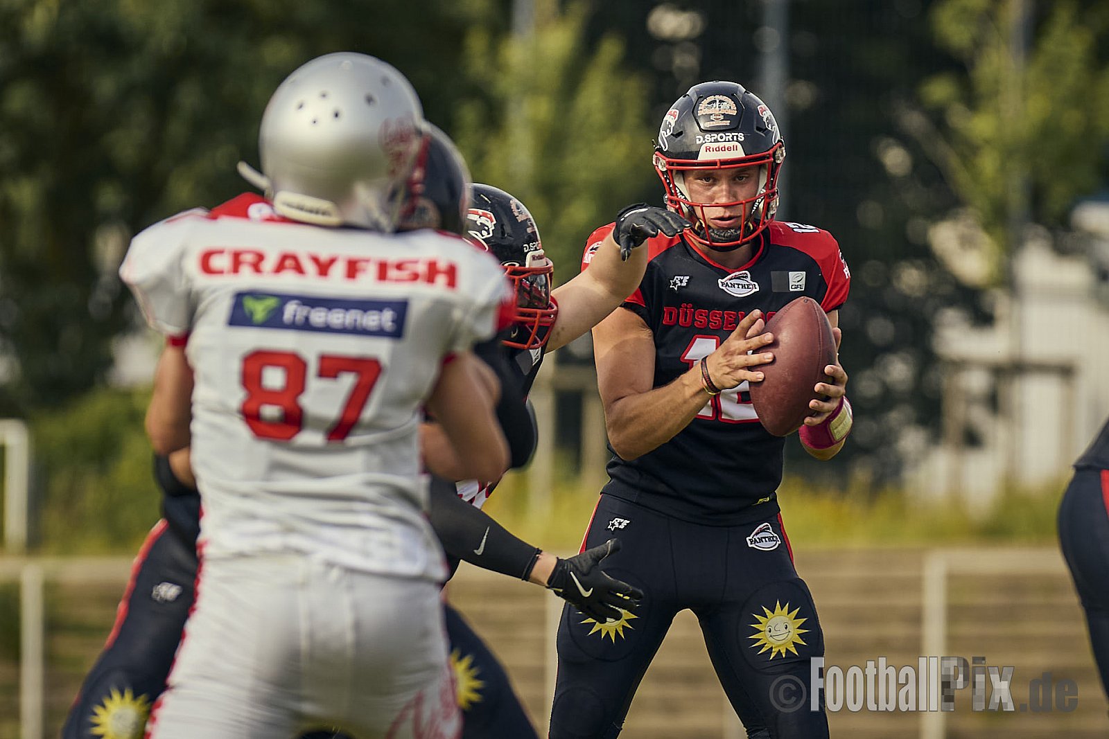 GFL2 Season 2024 Düsseldorf Panther vs. Cottbus Crayfish am 29.06.2024 im Bezirks Sportanlage Benrath, Nürnberger Straße, Benrath, Stadtbezirk 9, Dusseldorf, North Rhine-Westphalia, 40599, Germany. Punkte Endstand 64 : 0. - DPantherVsCottbusCrayfish