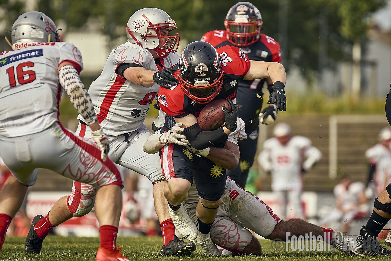 GFL2 Season 2024 Düsseldorf Panther vs. Cottbus Crayfish am 29.06.2024 im Bezirks Sportanlage Benrath, Nürnberger Straße, Benrath, Stadtbezirk 9, Dusseldorf, North Rhine-Westphalia, 40599, Germany. Punkte Endstand 64 : 0. - DPantherVsCottbusCrayfish