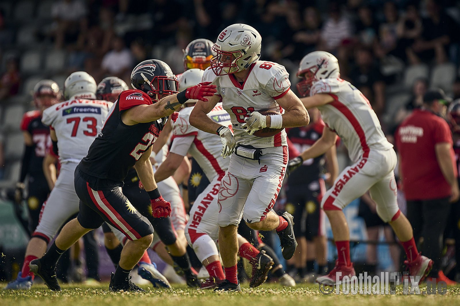 GFL2 Season 2024 Düsseldorf Panther vs. Cottbus Crayfish am 29.06.2024 im Bezirks Sportanlage Benrath, Nürnberger Straße, Benrath, Stadtbezirk 9, Dusseldorf, North Rhine-Westphalia, 40599, Germany. Punkte Endstand 64 : 0. - DPantherVsCottbusCrayfish