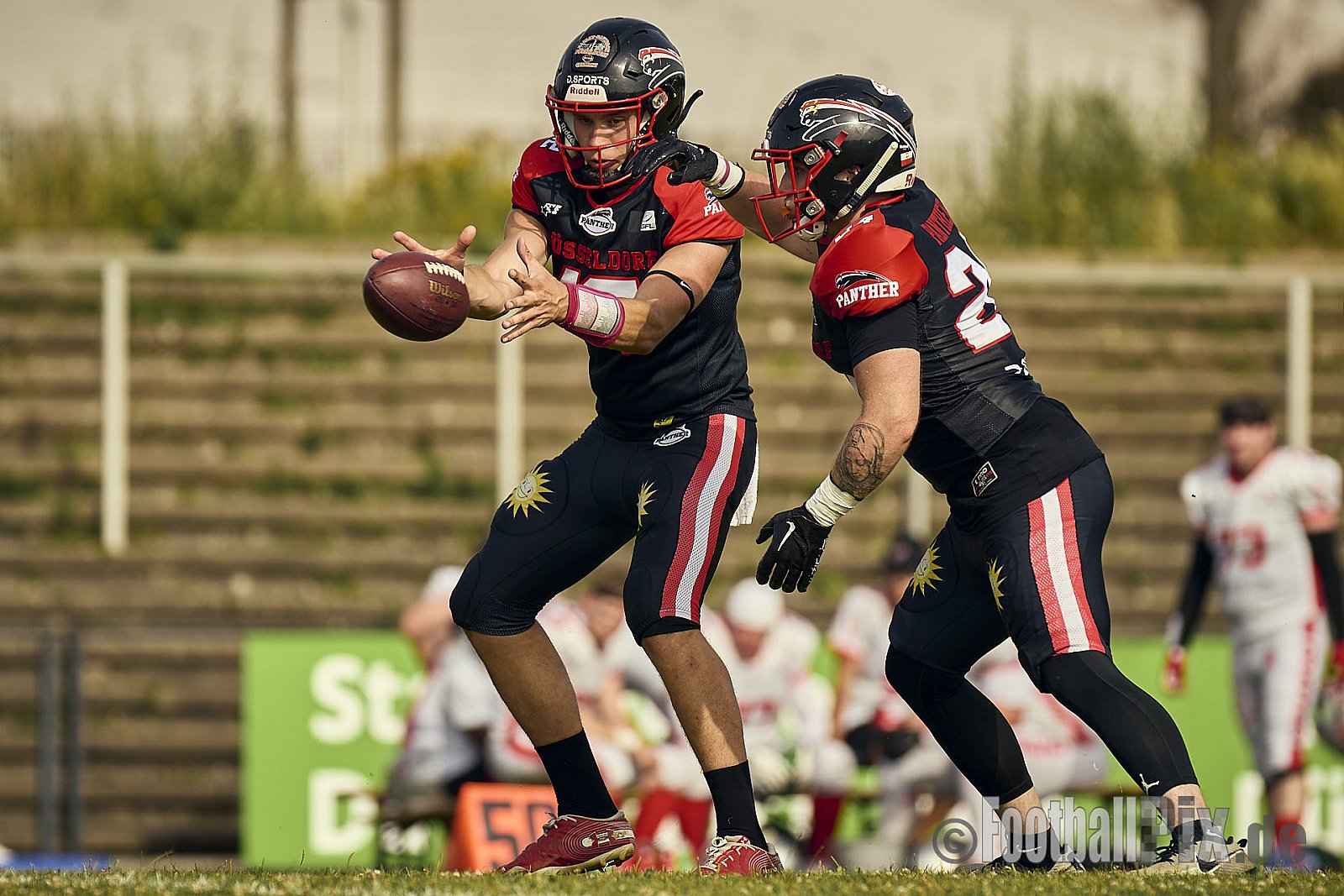 GFL2 Season 2024 Düsseldorf Panther vs. Cottbus Crayfish am 29.06.2024 im Bezirks Sportanlage Benrath, Nürnberger Straße, Benrath, Stadtbezirk 9, Dusseldorf, North Rhine-Westphalia, 40599, Germany. Punkte Endstand 64 : 0. - DPantherVsCottbusCrayfish
