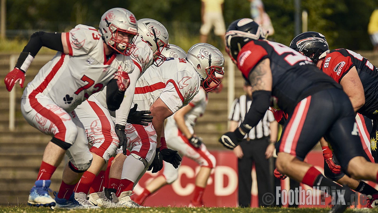 GFL2 Season 2024 Düsseldorf Panther vs. Cottbus Crayfish am 29.06.2024 im Bezirks Sportanlage Benrath, Nürnberger Straße, Benrath, Stadtbezirk 9, Dusseldorf, North Rhine-Westphalia, 40599, Germany. Punkte Endstand 64 : 0. - DPantherVsCottbusCrayfish