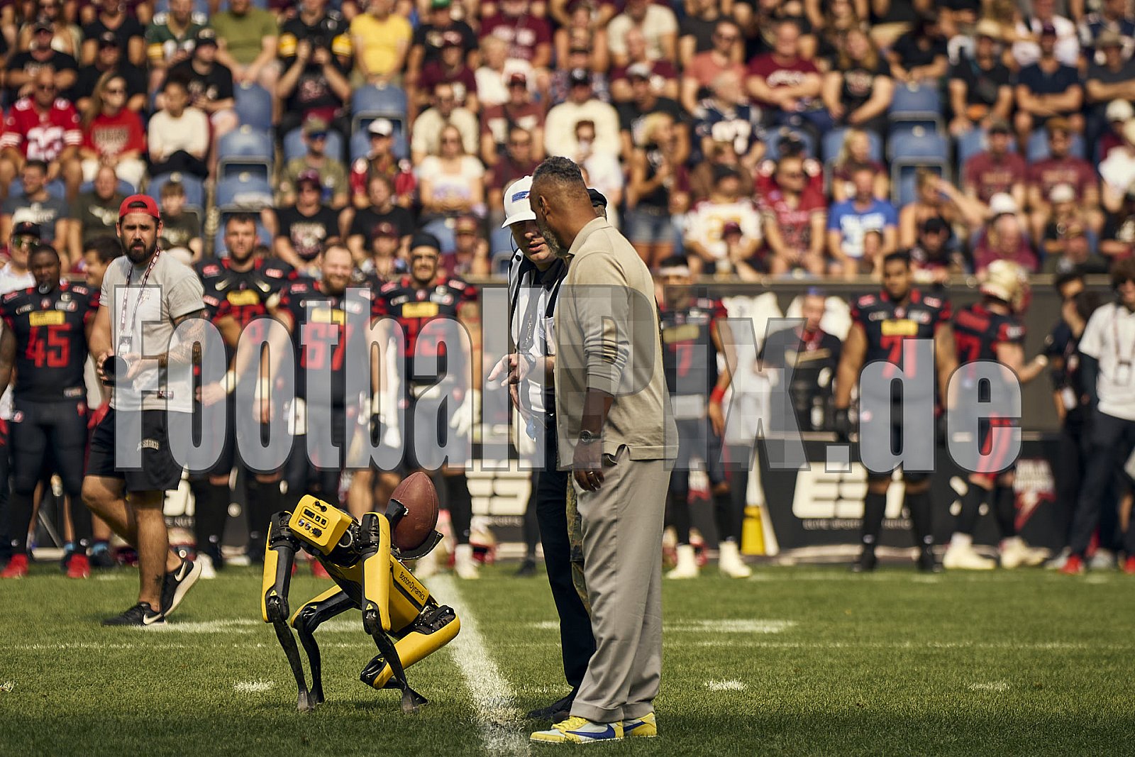 13.Spielwoche der European League of Football (ELF) Season 2024 Berlin Thunder at Rhein Fire am 18.08.2024 im Stadion . Spiel Endstand 14 : 47. Bildnummer: 2024-08-18_0276 - Elf BerlinThunderAtRheinFire