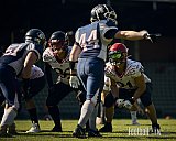 AFCV Verbandsliga NRW Season 2024 Recklinghausen Chargers vs. Siegen Sentinels am 24.08.2024 im Stadion Hohenhorst, Recklinghausen, Punkte Endstand 4 : 7.
[Bildnummer: 2024-08-24_0398] - RecklinghausenChargersVsSiegenSentinels