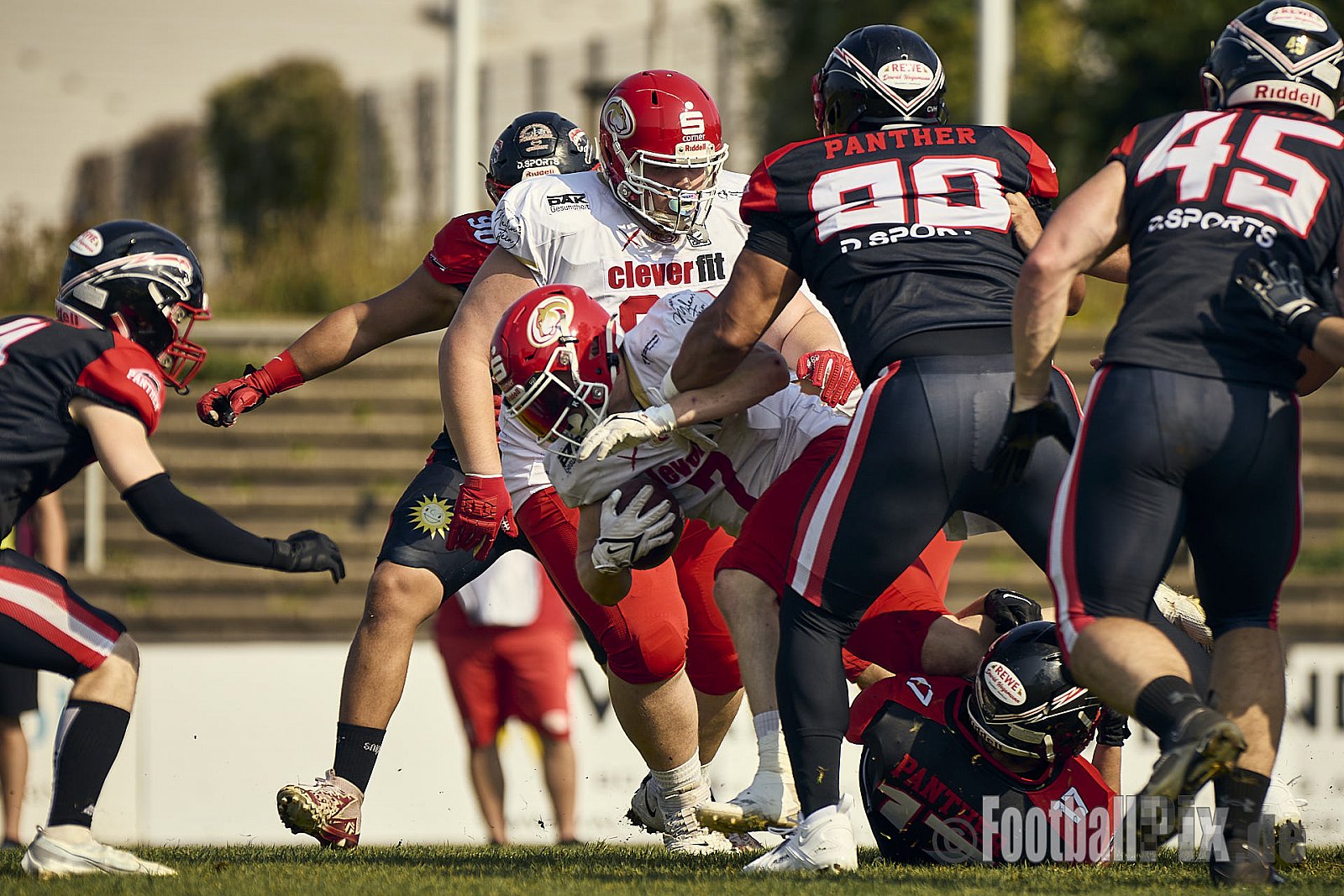 GFL2 Season 2024 Düsseldorf Panther vs. Lübeck Cougars am 31.08.2024 im Bezirks Sportanlage Benrath, Nürnberger Straße, Benrath, Stadtbezirk 9, Dusseldorf, North Rhine-Westphalia, 40599, Germany. Punkte Endstand 16 : 10. - DPantherVsLuebeckCougars