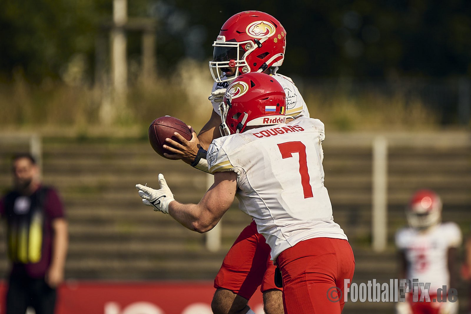 GFL2 Season 2024 Düsseldorf Panther vs. Lübeck Cougars am 31.08.2024 im Bezirks Sportanlage Benrath, Nürnberger Straße, Benrath, Stadtbezirk 9, Dusseldorf, North Rhine-Westphalia, 40599, Germany. Punkte Endstand 16 : 10. - DPantherVsLuebeckCougars