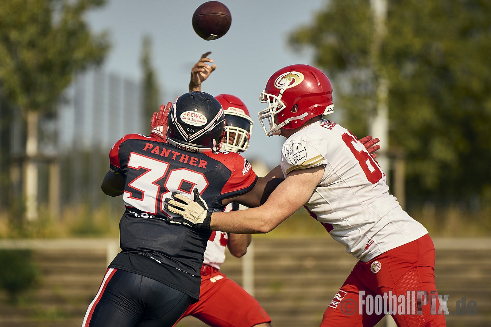 GFL2 Season 2024 Düsseldorf Panther vs. Lübeck Cougars am 31.08.2024 im Bezirks Sportanlage Benrath, Nürnberger Straße, Benrath, Stadtbezirk 9, Dusseldorf, North Rhine-Westphalia, 40599, Germany. Punkte Endstand 16 : 10. - DPantherVsLuebeckCougars