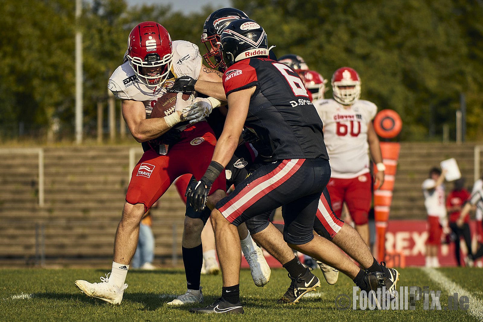 GFL2 Season 2024 Düsseldorf Panther vs. Lübeck Cougars am 31.08.2024 im Bezirks Sportanlage Benrath, Nürnberger Straße, Benrath, Stadtbezirk 9, Dusseldorf, North Rhine-Westphalia, 40599, Germany. Punkte Endstand 16 : 10. - DPantherVsLuebeckCougars