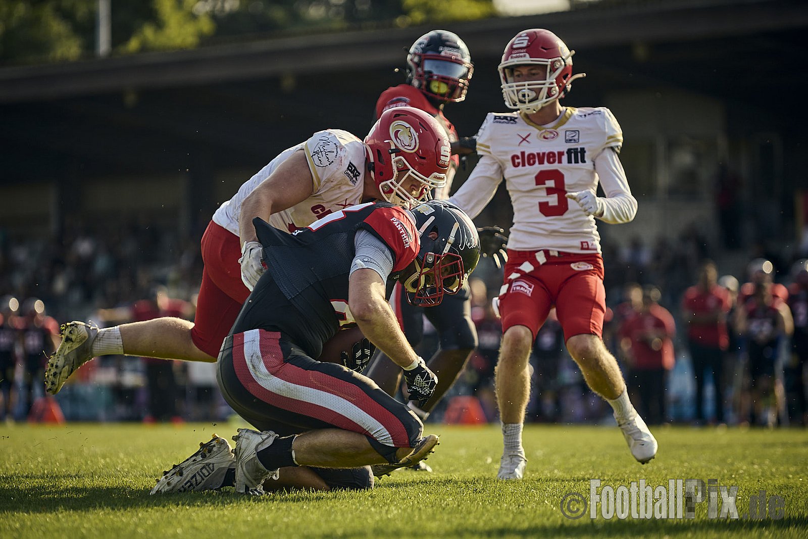 GFL2 Season 2024 Düsseldorf Panther vs. Lübeck Cougars am 31.08.2024 im Bezirks Sportanlage Benrath, Nürnberger Straße, Benrath, Stadtbezirk 9, Dusseldorf, North Rhine-Westphalia, 40599, Germany. Punkte Endstand 16 : 10. - DPantherVsLuebeckCougars