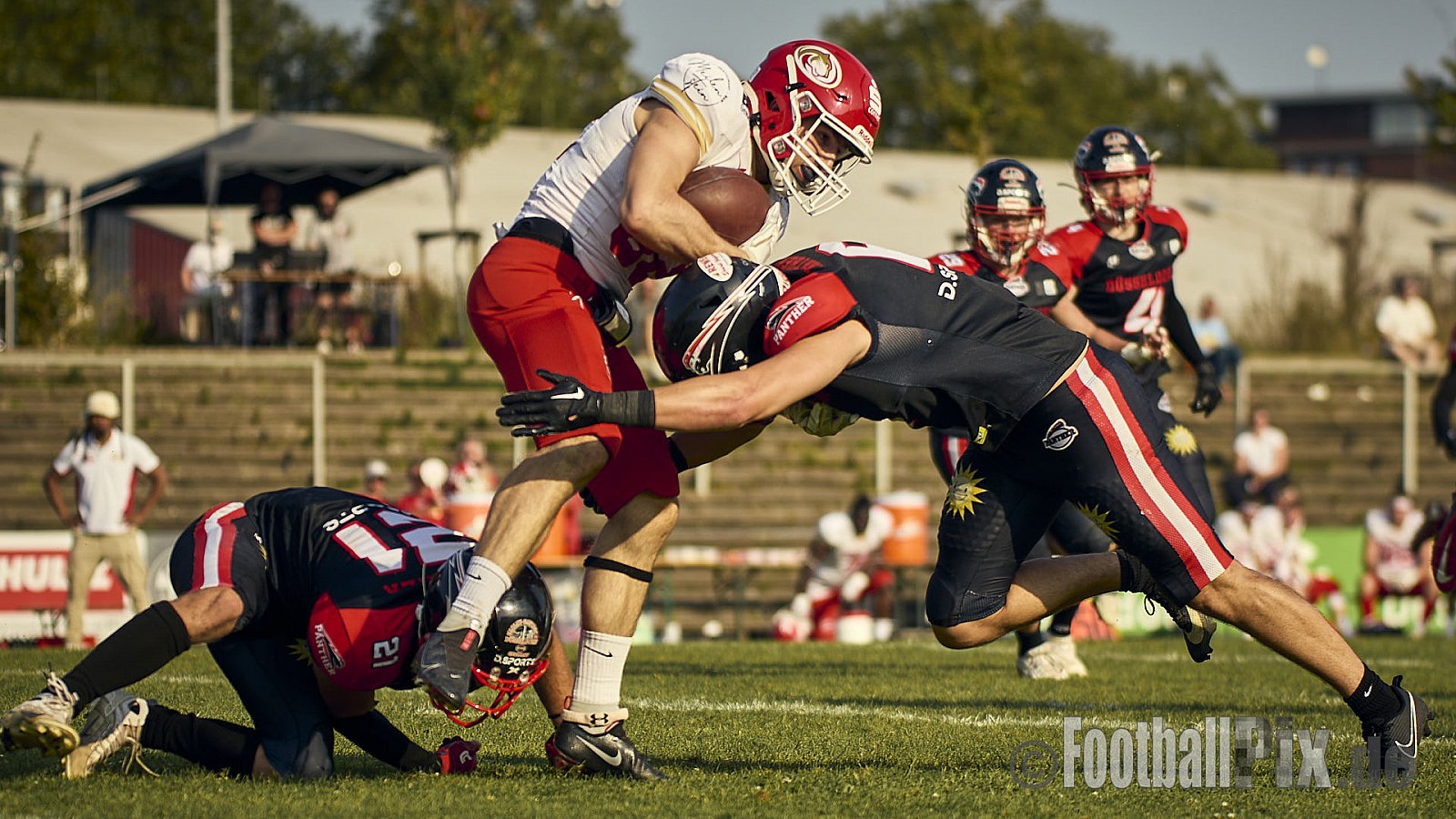 GFL2 Season 2024 Düsseldorf Panther vs. Lübeck Cougars am 31.08.2024 im Bezirks Sportanlage Benrath, Nürnberger Straße, Benrath, Stadtbezirk 9, Dusseldorf, North Rhine-Westphalia, 40599, Germany. Punkte Endstand 16 : 10. - DPantherVsLuebeckCougars
