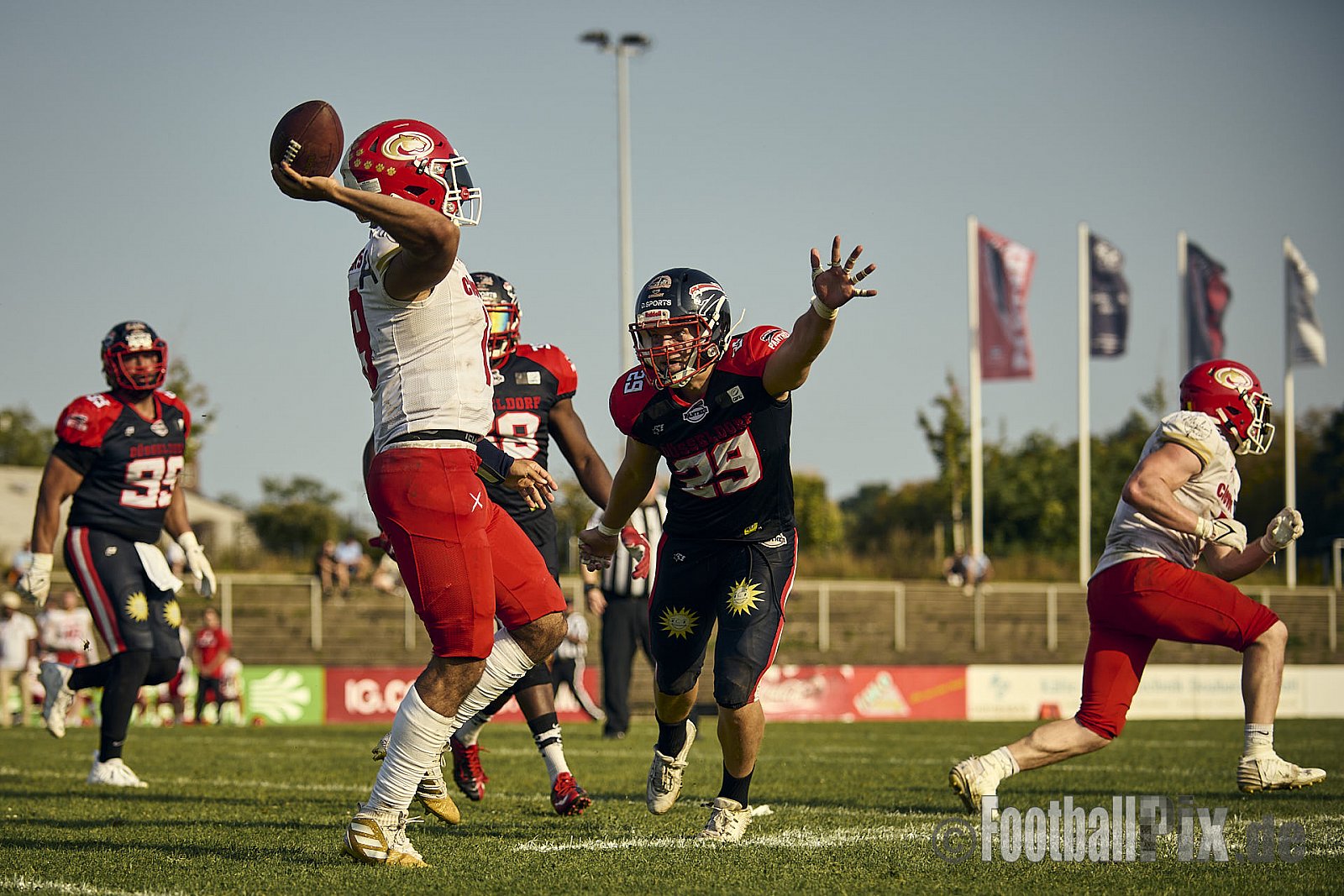GFL2 Season 2024 Düsseldorf Panther vs. Lübeck Cougars am 31.08.2024 im Bezirks Sportanlage Benrath, Nürnberger Straße, Benrath, Stadtbezirk 9, Dusseldorf, North Rhine-Westphalia, 40599, Germany. Punkte Endstand 16 : 10. - DPantherVsLuebeckCougars