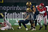 GFL Bowl | Potsdam Royals vs. Dresden Monarchs | 12.10.2024 | Stadion an der Hafenstraße, 97A, Hafenstraße, Vogelheim, Stadtbezirk V, Essen, North Rhine-Westphalia, 45356, Germany | Punkte Endstand 27 : 21 | Bildnummer: 2024-10-12_0575 - GFLBowl2024PotsdamRoyalsVsDresdenMonarchs