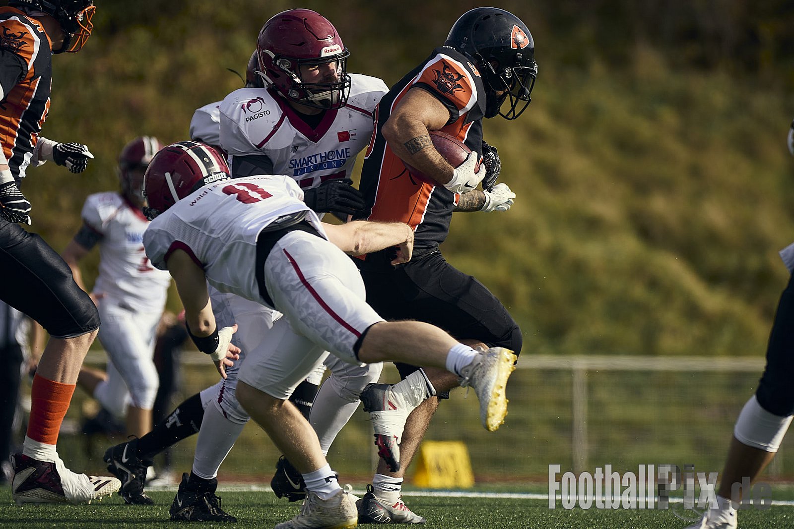 AFCV LL NRW | Cologne Ronin vs. Iserlohn Titans | 19.10.2024 | Bezirkssportanlage Rodenkirchen, Sürther Straße, Michaelshoven, Rodenkirchen, Cologne, North Rhine-Westphalia, 50999, Germany | Punkte Endstand 29 : 42 | Bildnummer: 2024-10-19_0091 - CologneRoninVsIserlohnTitans