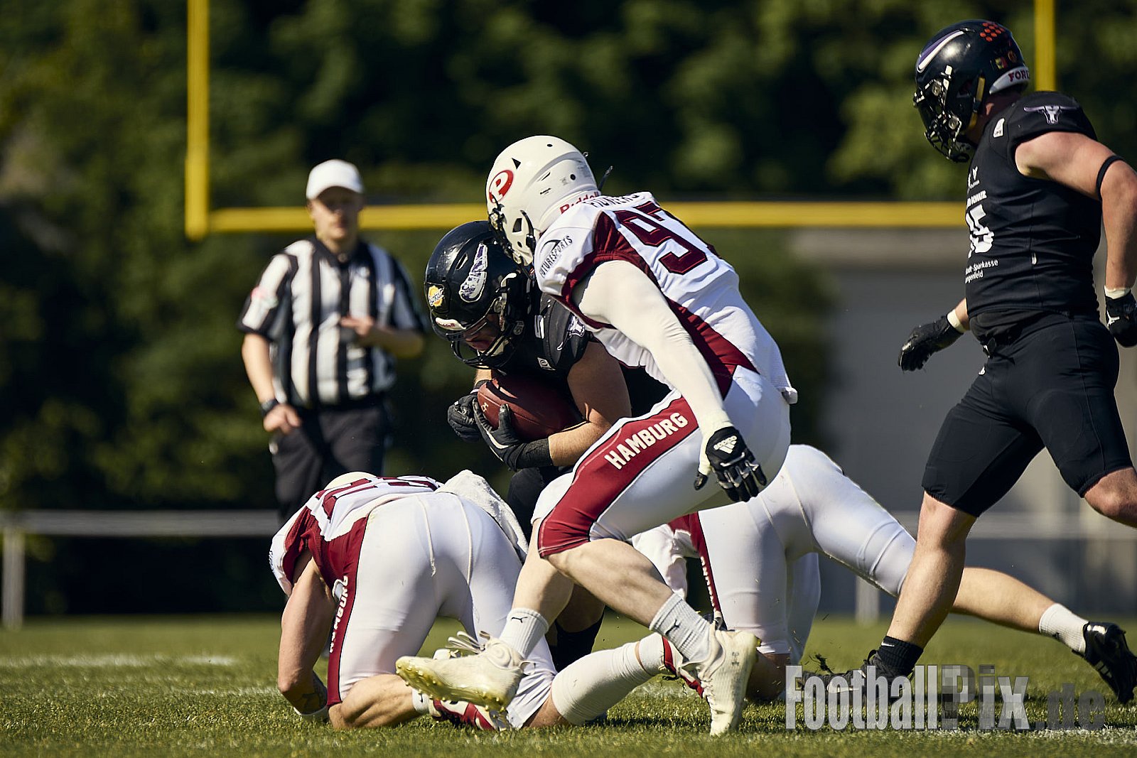 GFL 2 | Langenfeld Longhorns vs. Hamburg Pioneers | 10.05.2025 | Jahnstadion, Langenfeld | Punkte Endstand 35 : 10 | Bildnummer: 2025-05-10_0463 - LangenfeldLonghornsVsHamburgPioneers