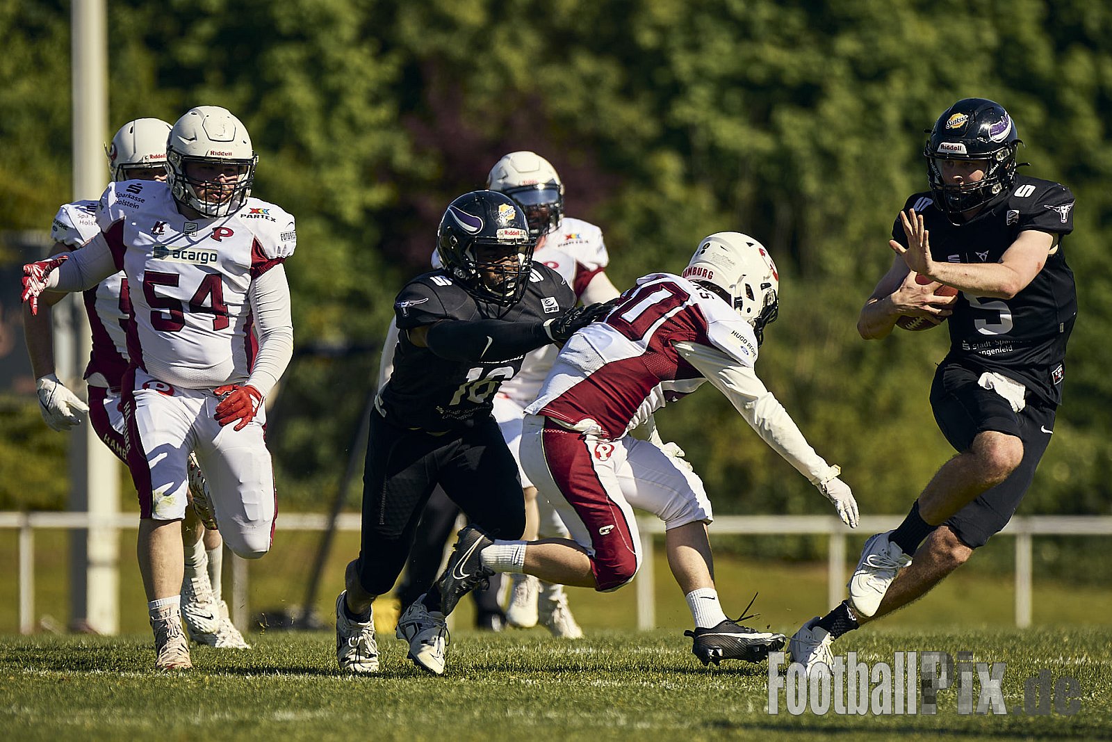 GFL 2 | Langenfeld Longhorns vs. Hamburg Pioneers | 10.05.2025 | Jahnstadion, Langenfeld | Punkte Endstand 35 : 10 | Bildnummer: 2025-05-10_0530 - LangenfeldLonghornsVsHamburgPioneers