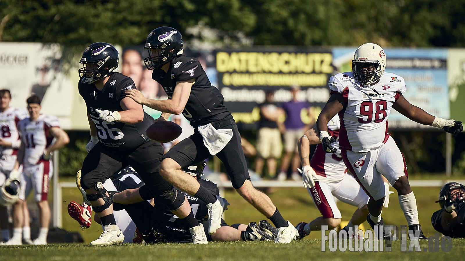 GFL 2 | Langenfeld Longhorns vs. Hamburg Pioneers | 10.05.2025 | Jahnstadion, Langenfeld | Punkte Endstand 35 : 10 | Bildnummer: 2025-05-10_0585 - LangenfeldLonghornsVsHamburgPioneers