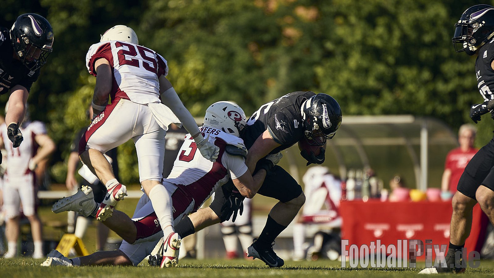 GFL 2 | Langenfeld Longhorns vs. Hamburg Pioneers | 10.05.2025 | Jahnstadion, Langenfeld | Punkte Endstand 35 : 10 | Bildnummer: 2025-05-10_0627 - LangenfeldLonghornsVsHamburgPioneers
