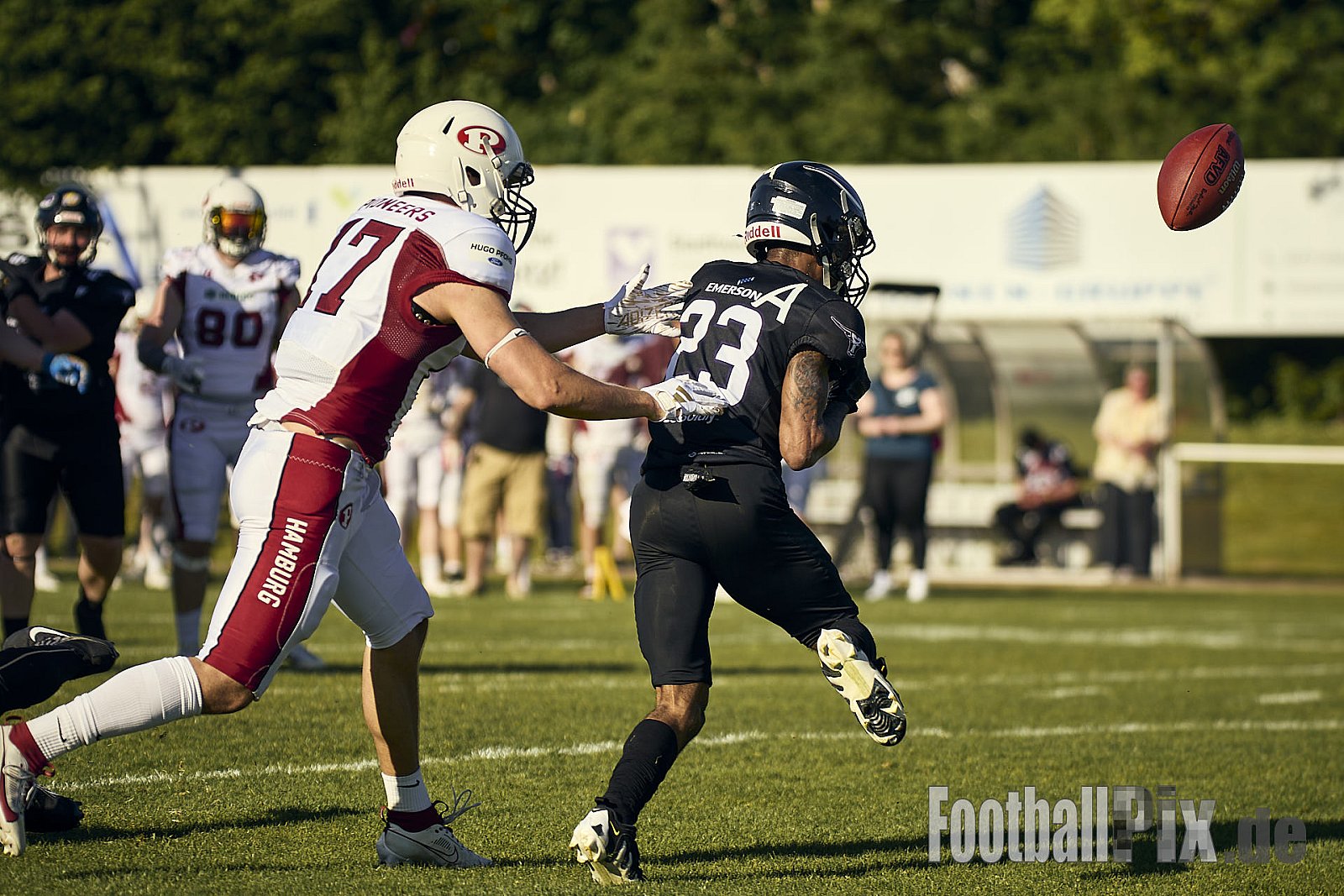 GFL 2 | Langenfeld Longhorns vs. Hamburg Pioneers | 10.05.2025 | Jahnstadion, Langenfeld | Punkte Endstand 35 : 10 | Bildnummer: 2025-05-10_0692 - LangenfeldLonghornsVsHamburgPioneers