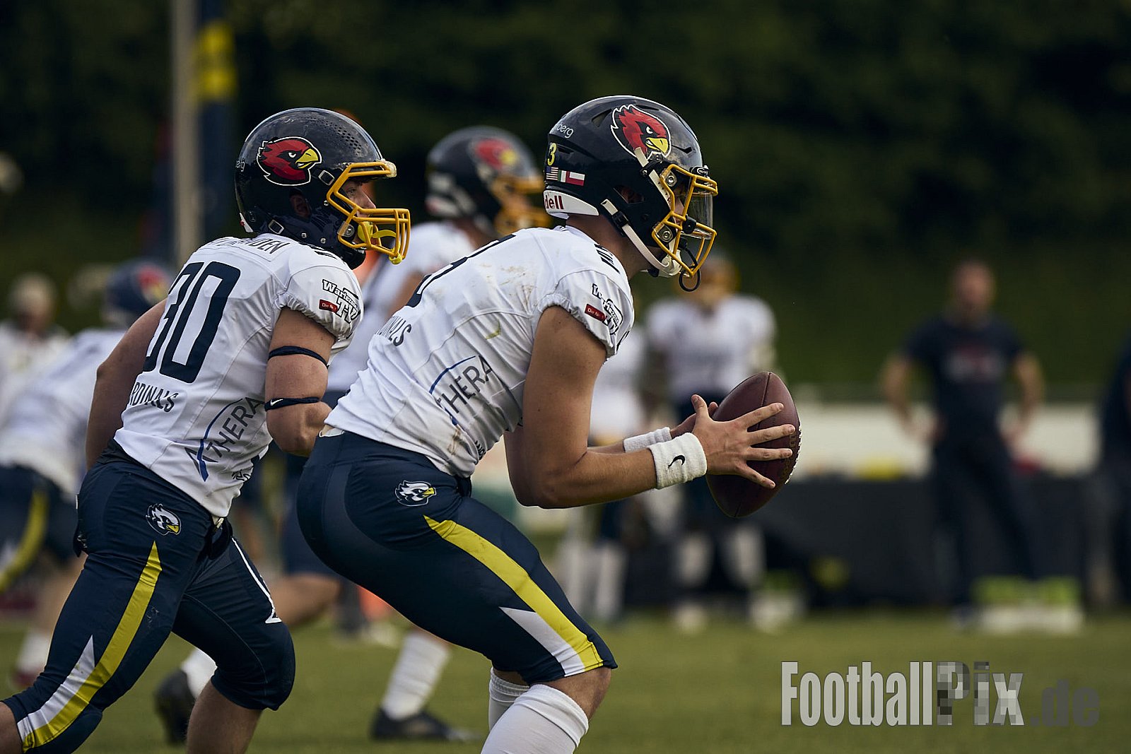 AFCV RL NRW | Troisdorf Jets vs. Essen Assindia Cardinals | 17.05.2025 | Aggerstadion, 53840 Troisdorf | Punkte Endstand 19 : 14 | Bildnummer: 2025-05-17_0284 - TroisdorfJetsVsEssenAssindiaCardinals