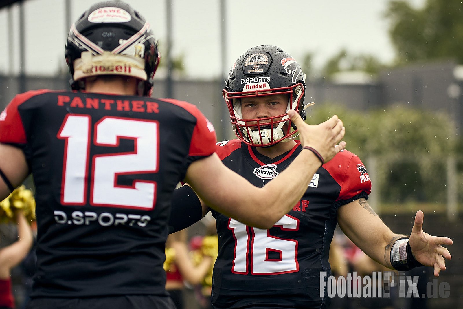 GFL | Düsseldorf Panther vs. Kiel Baltic Hurricanes | 24.05.2025 | Stadion VfL Benrath , 40597 Düsseldorf | Punkte Endstand 14 : 30 | Bildnummer: 2025-05-24_0048 - DPantherVsKielBalticHurricanes